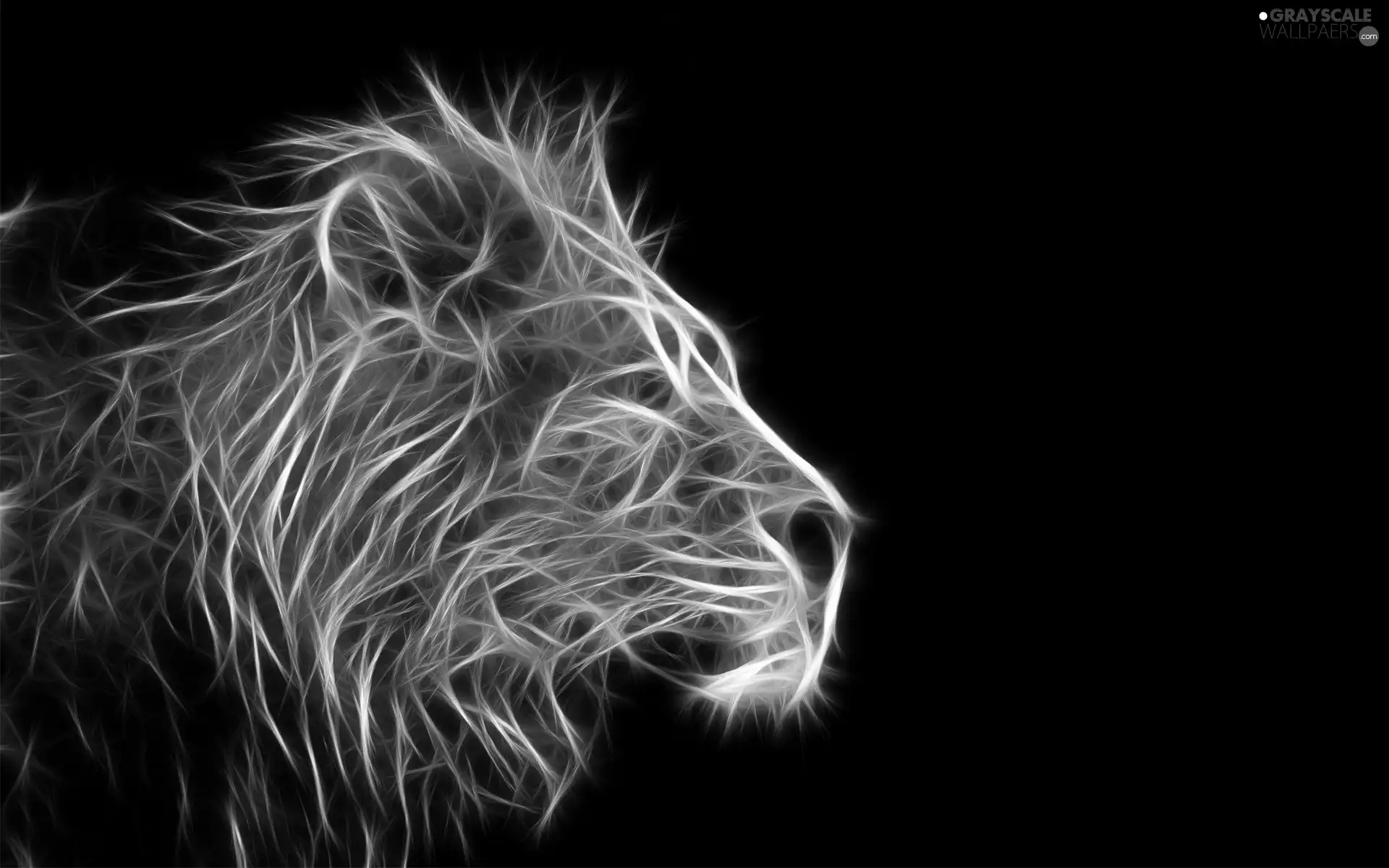 Lion, Fractalius
