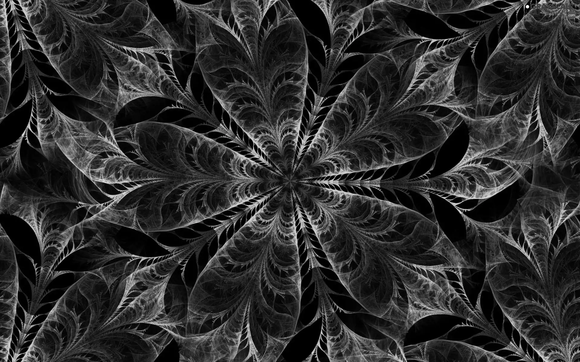 abstraction, Fraktal