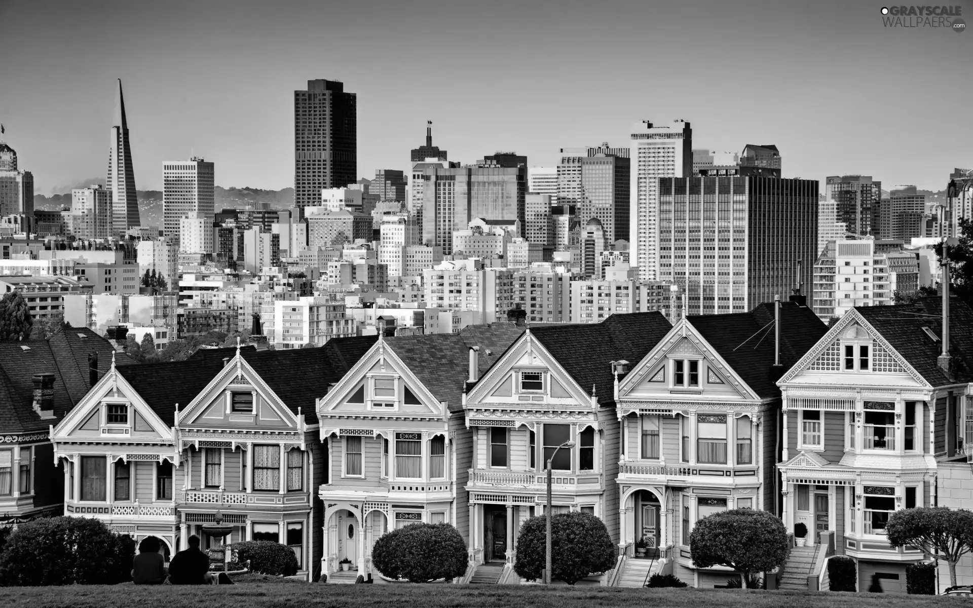panorama, Houses, San Francisco, California, town, skyscrapers
