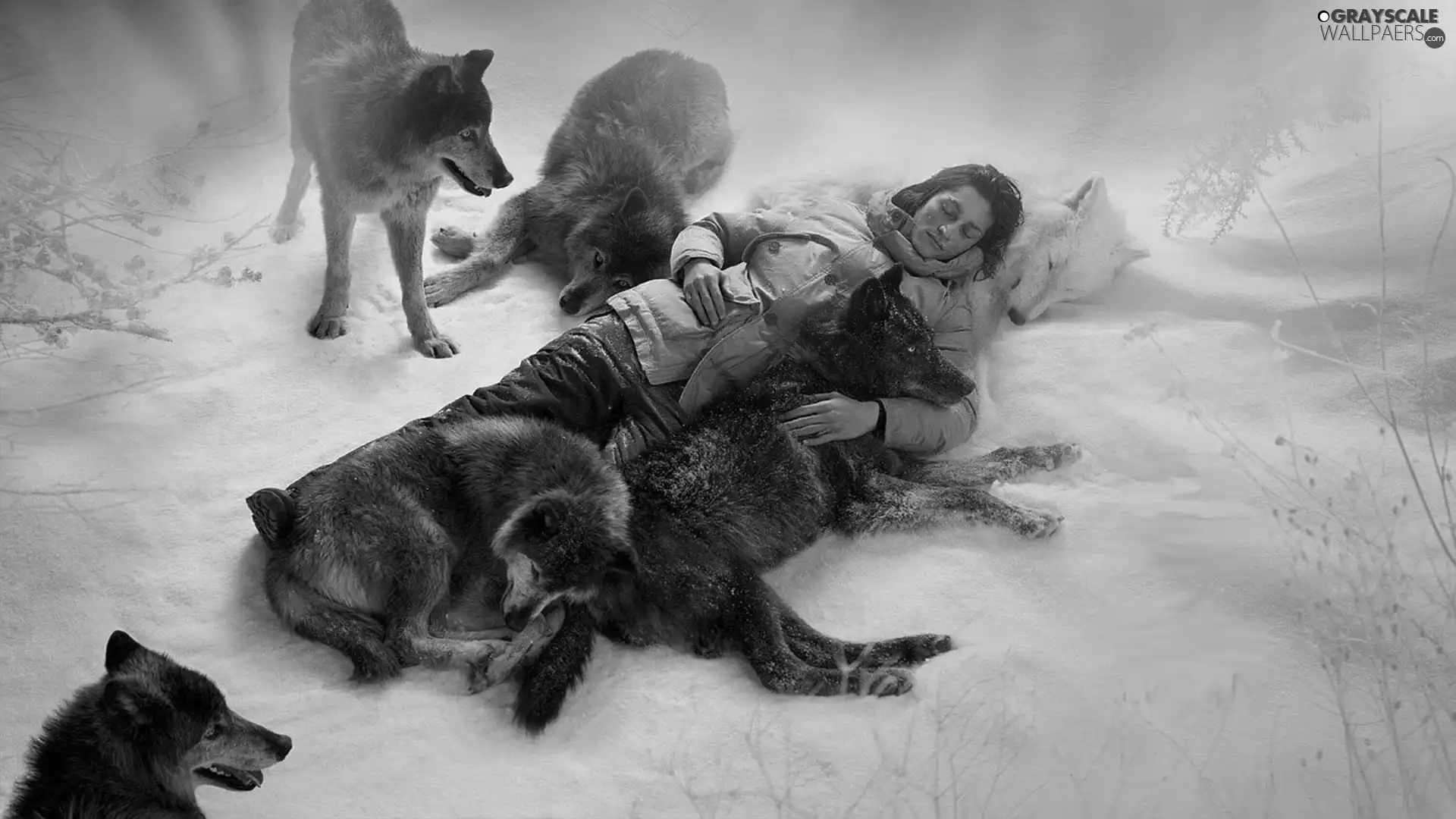 friends, wolves, Human