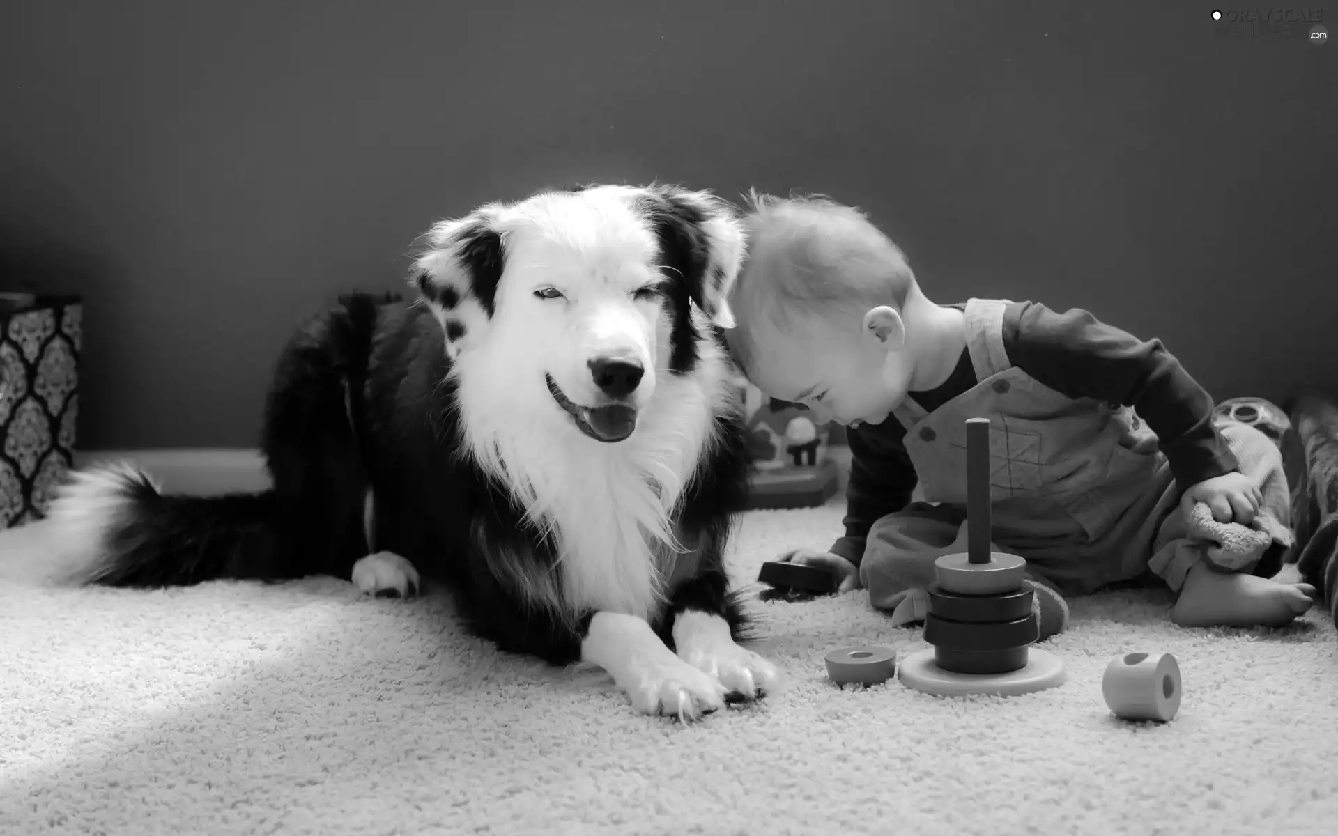 Kid, toys, friends, dog