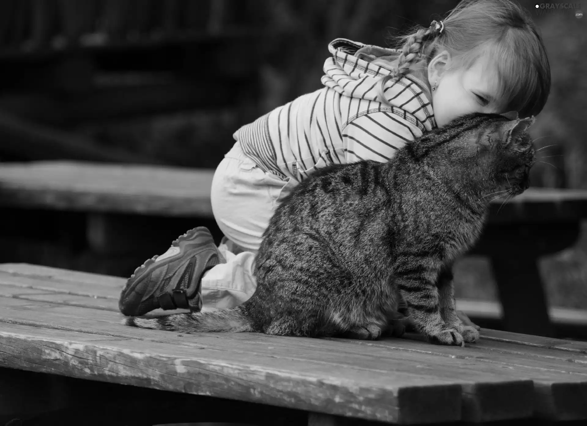 friendship, girl, cat