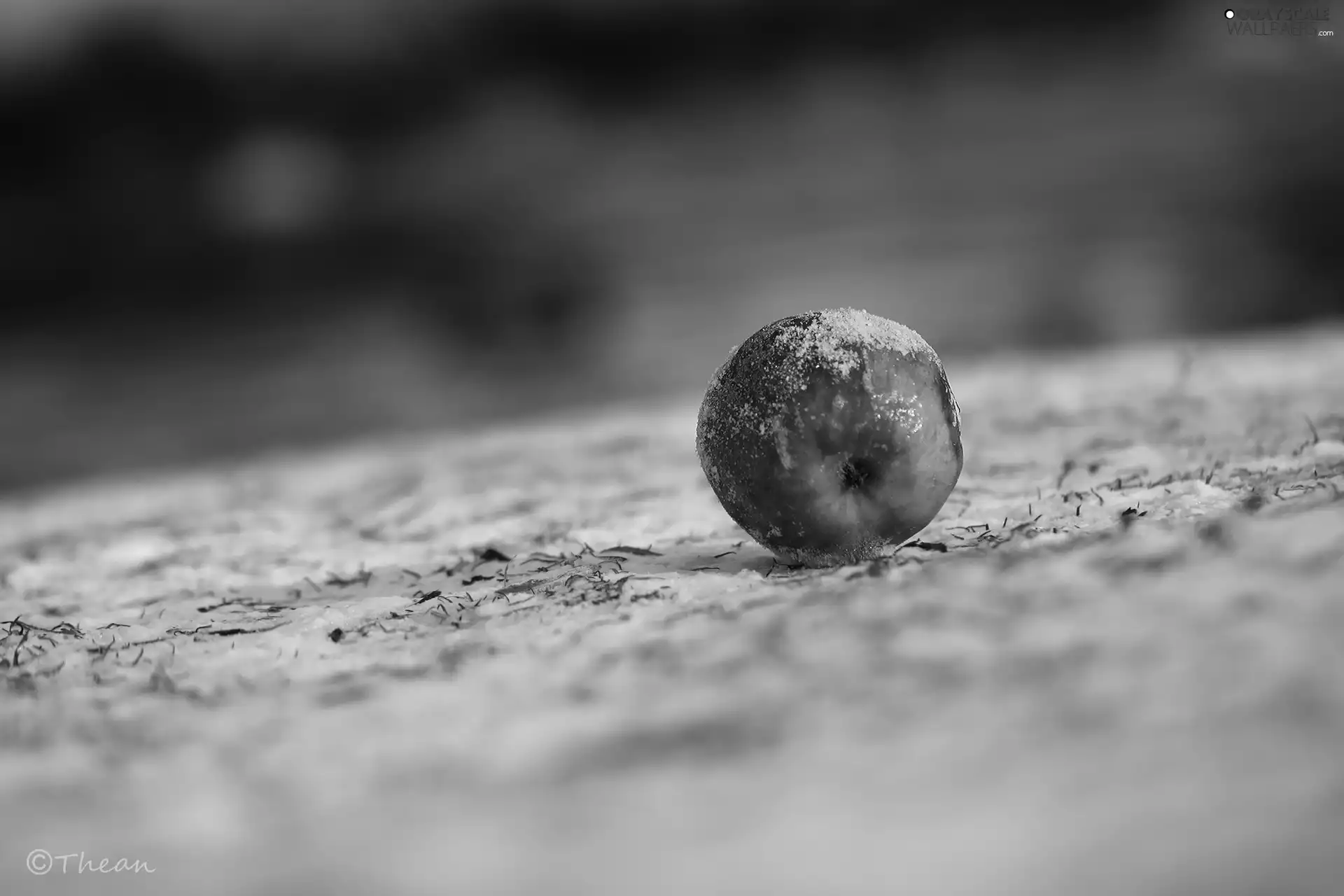 Apple, Frost