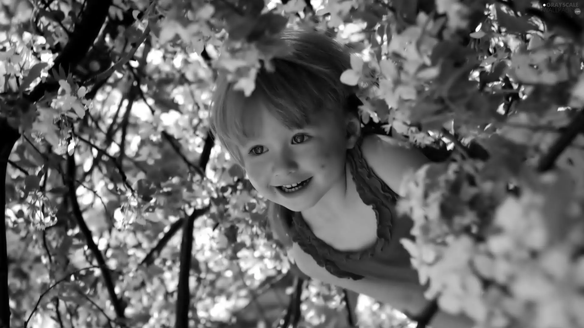 girl, trees, fruit, Flowers