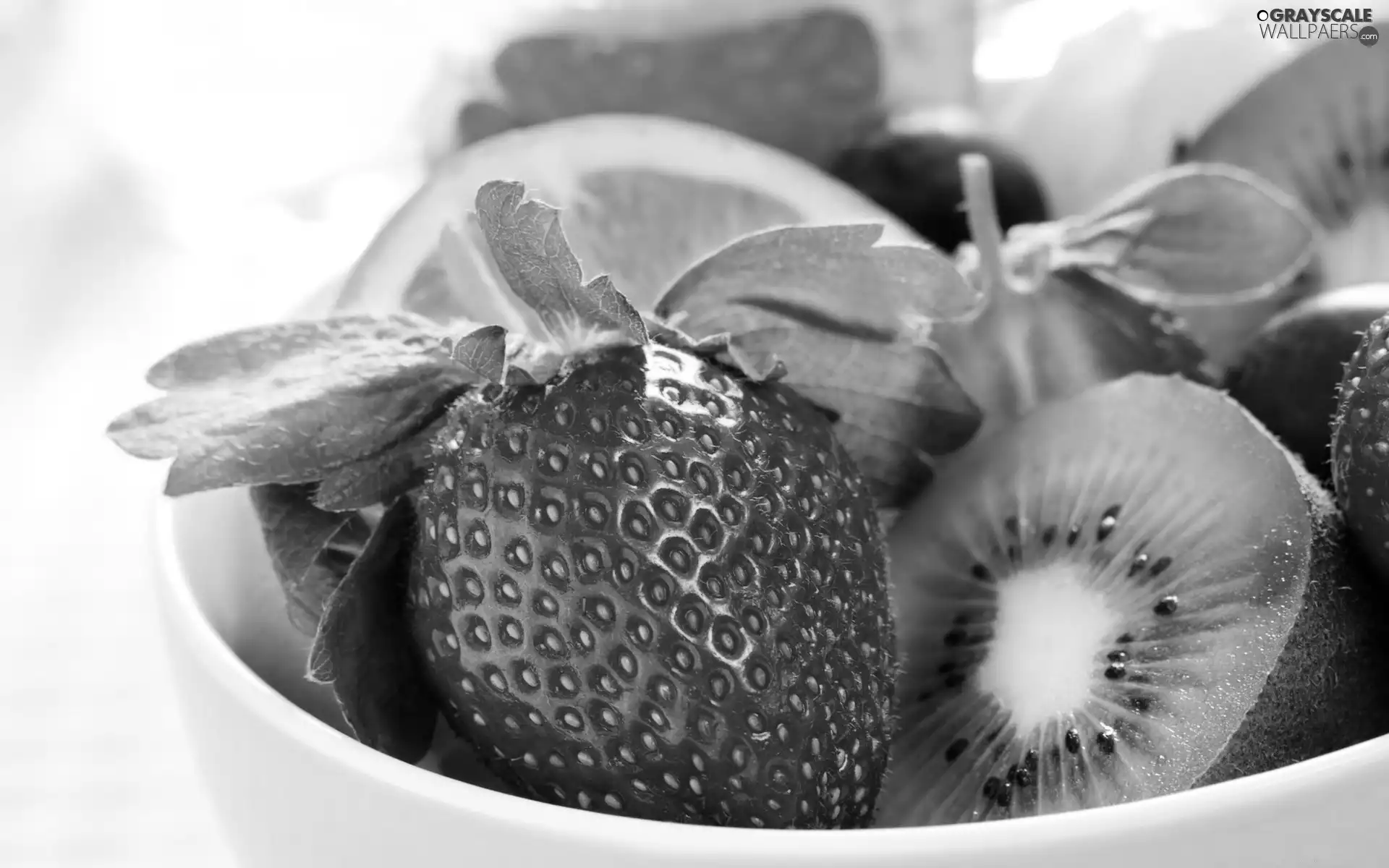 salad, fruit