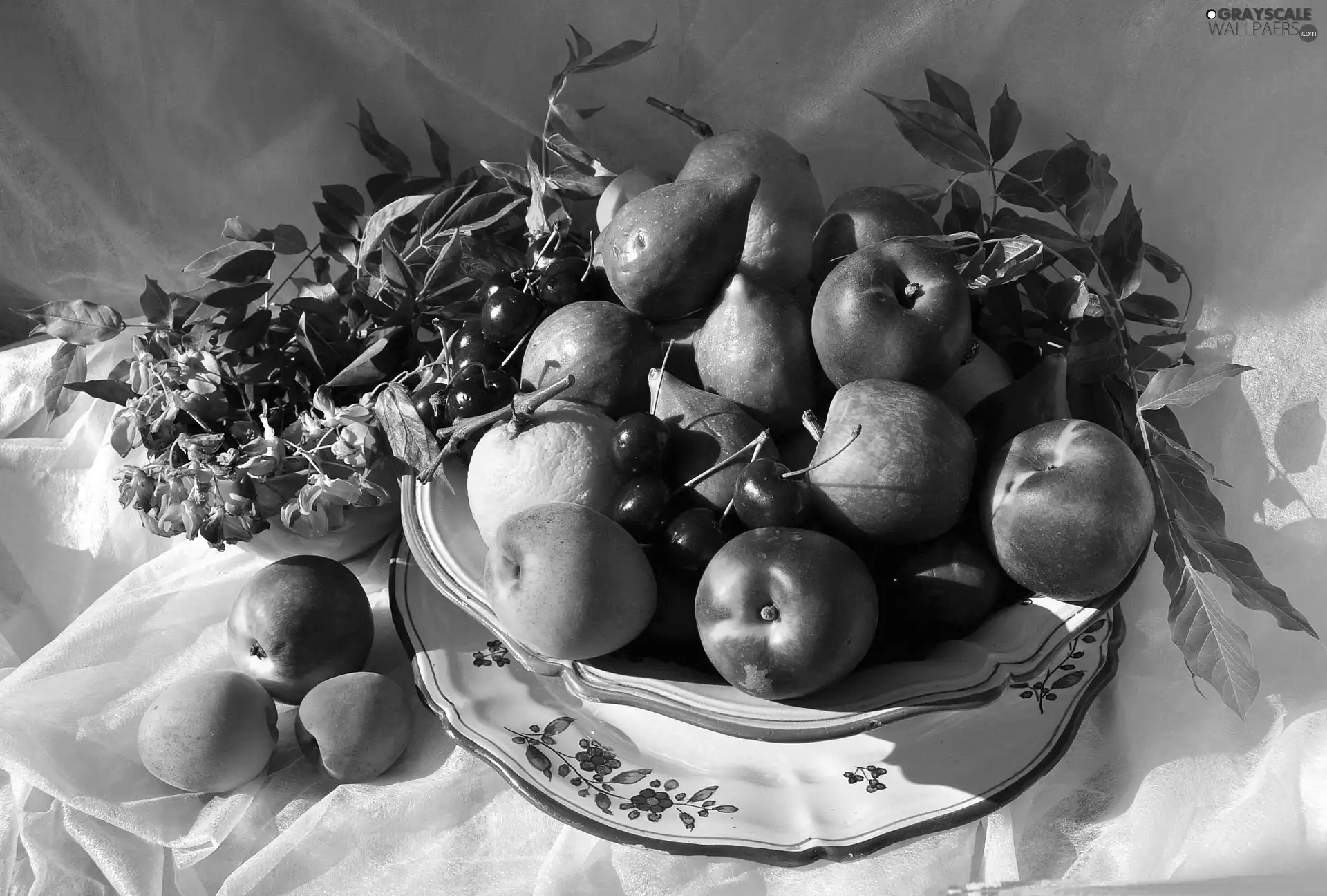 Fruits, vase, nectarines