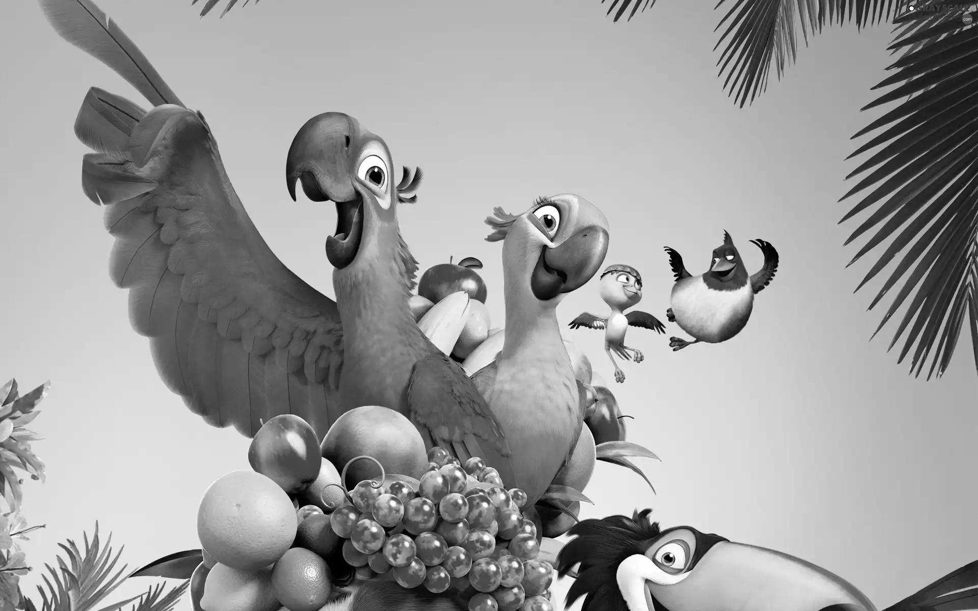 Fruits, Rio, Parrots