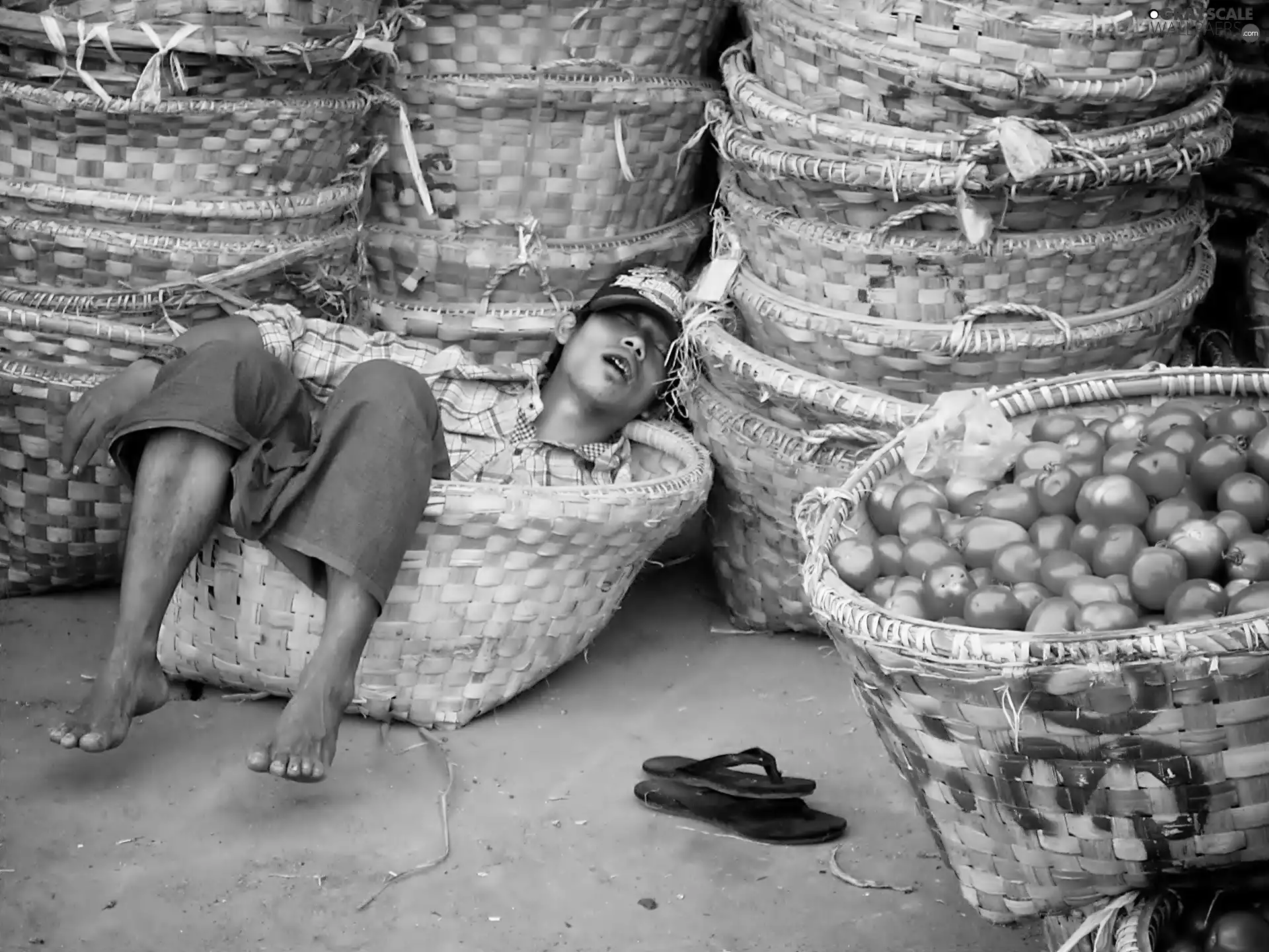 sleepy, Baskets, Fruits, Human
