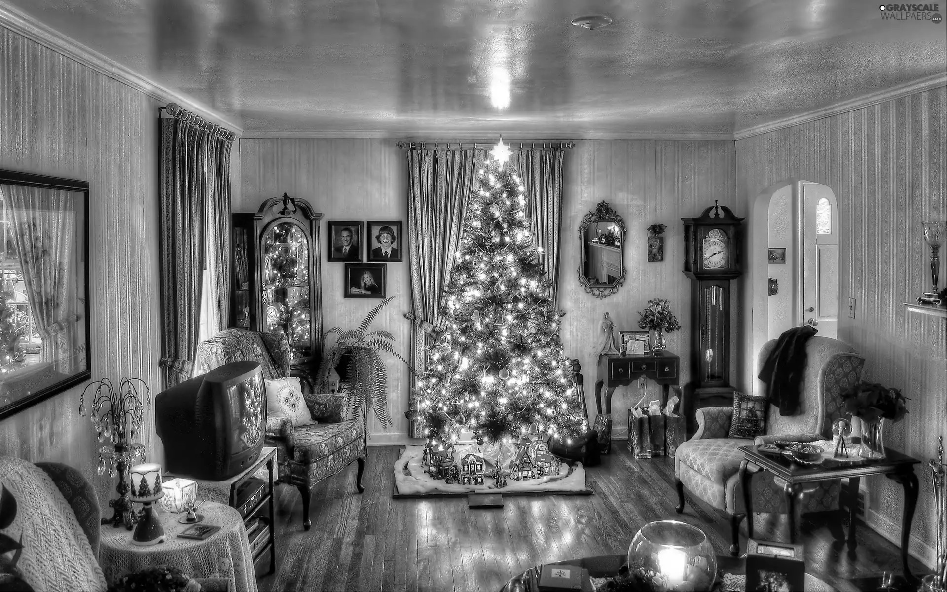 Room, christmas tree, furnished