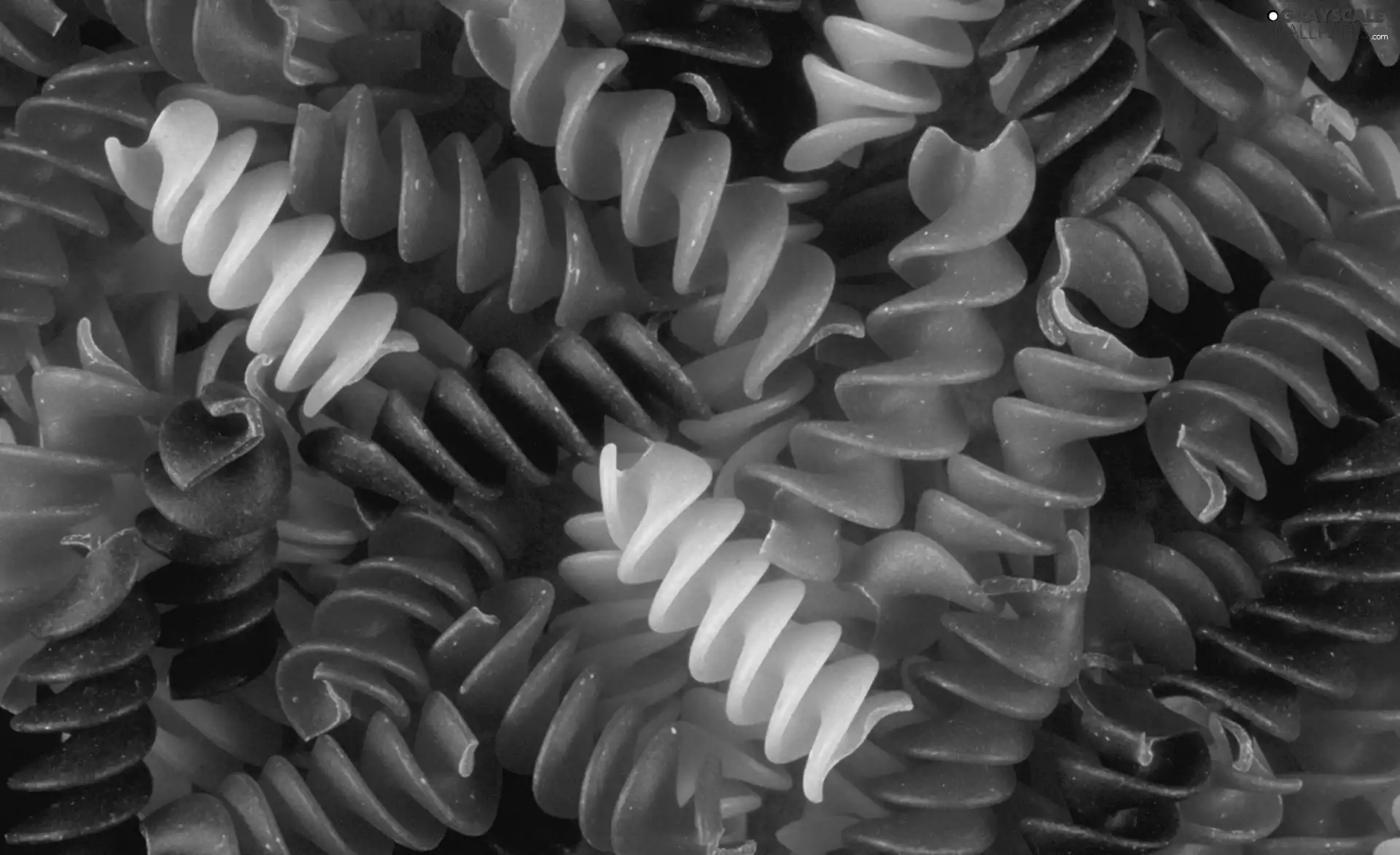 Fusilli, color, macaroni