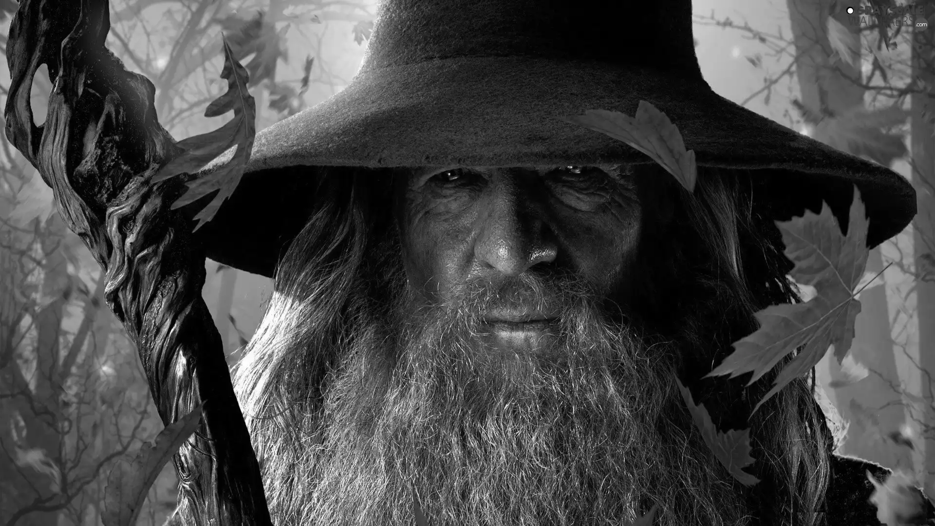 Leaf, Ian McKellen, Gandalf