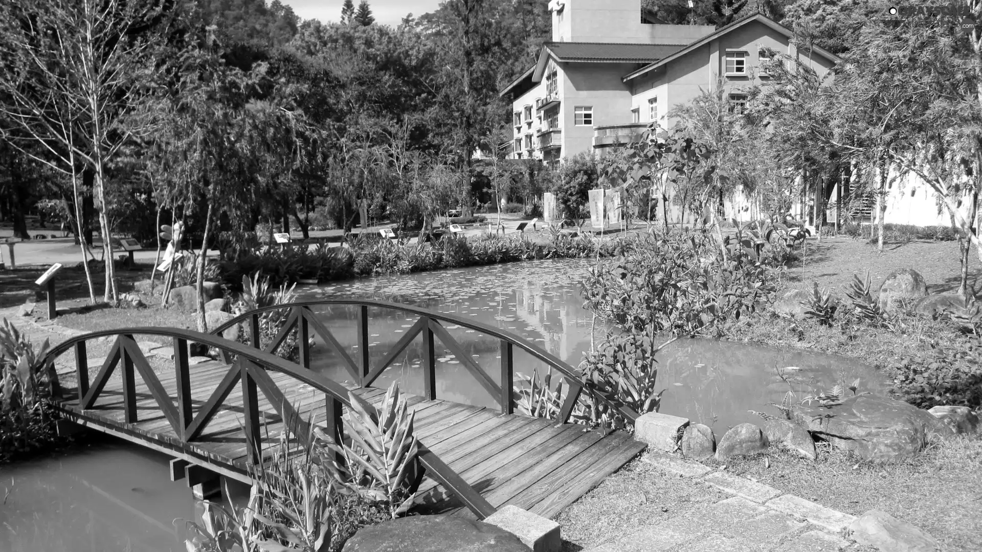 Garden, house, bridges