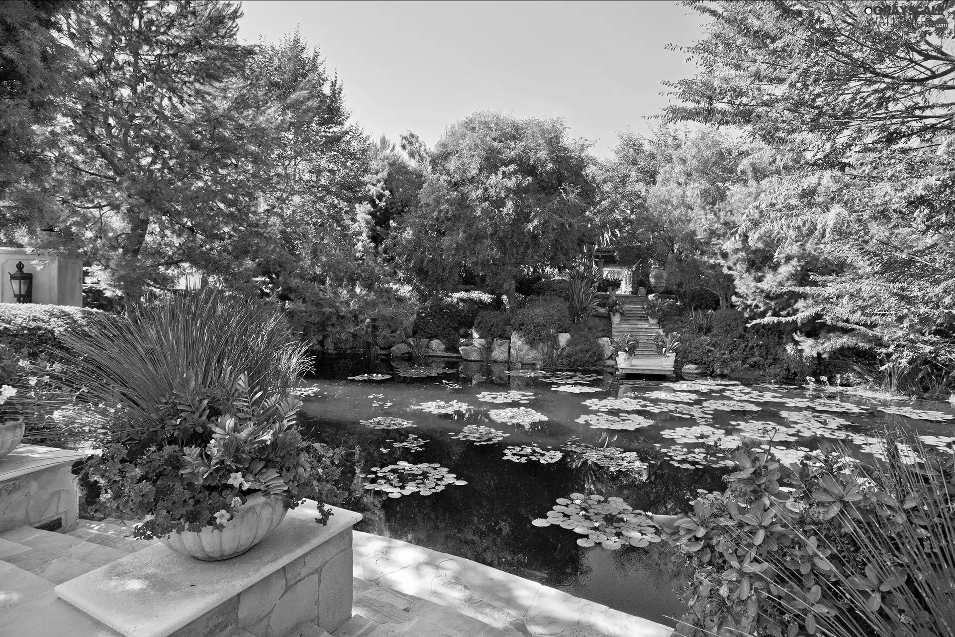 Pond - car, Beatyfull, Garden
