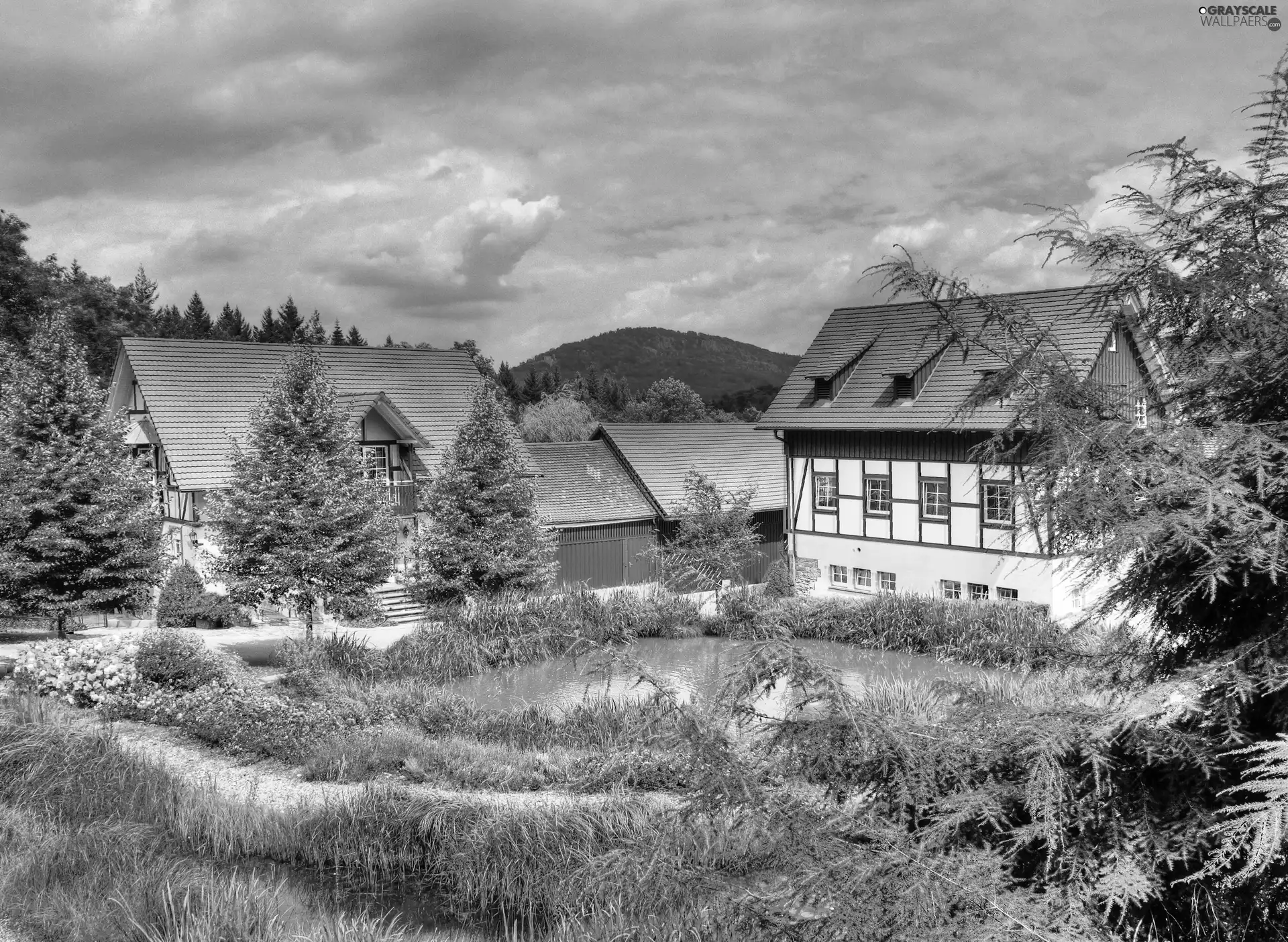 Pond - car, Houses, Garden