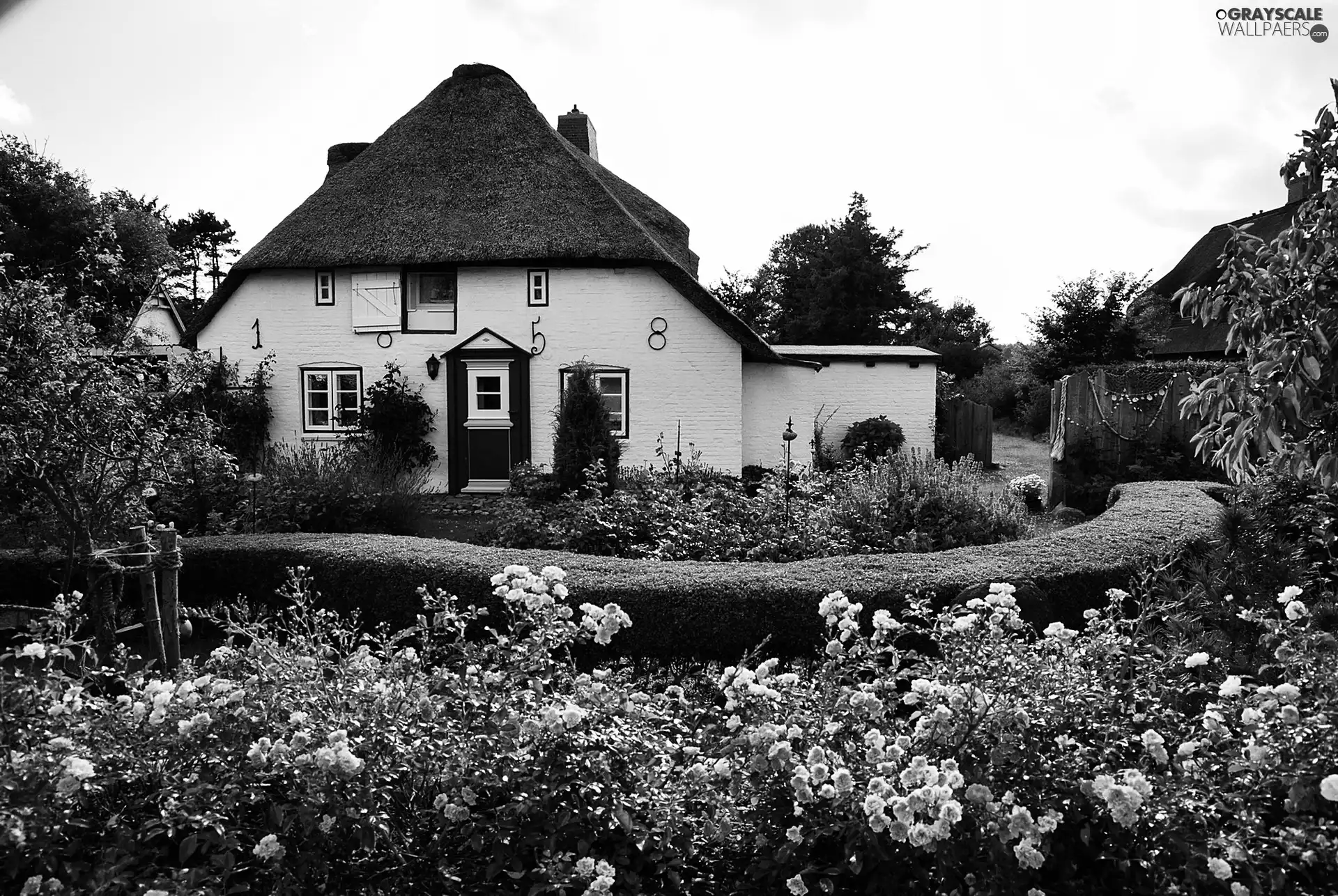 country, Flowers, garden, house