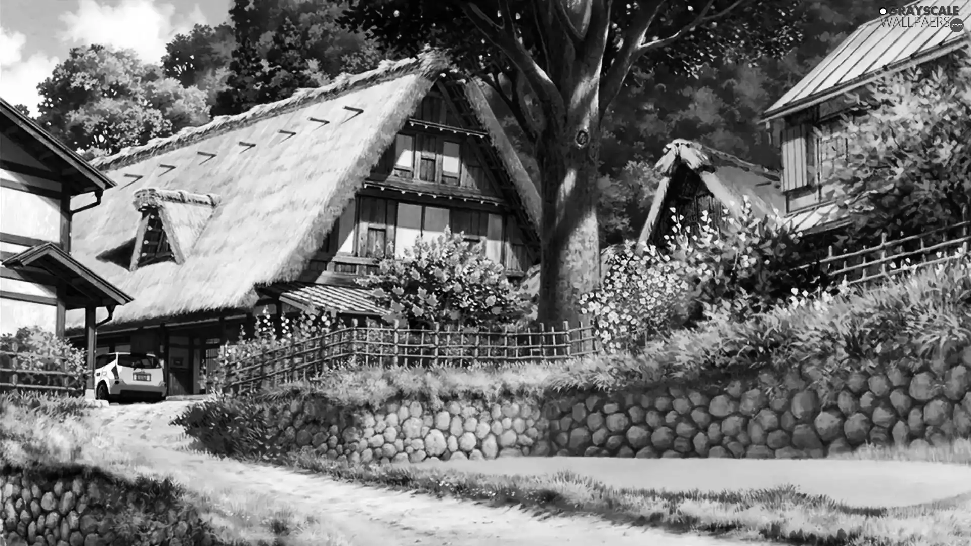 house, Garden