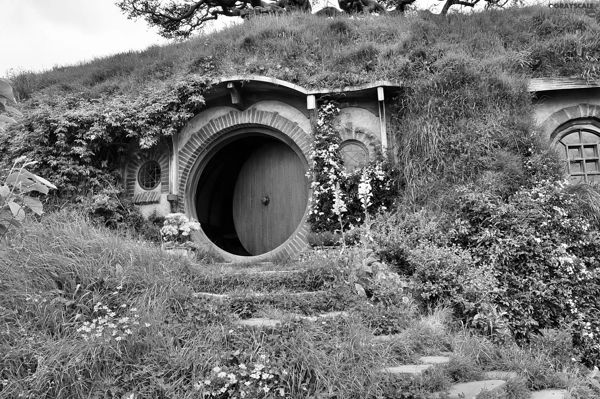 New Zeland, House Hobbit, garden