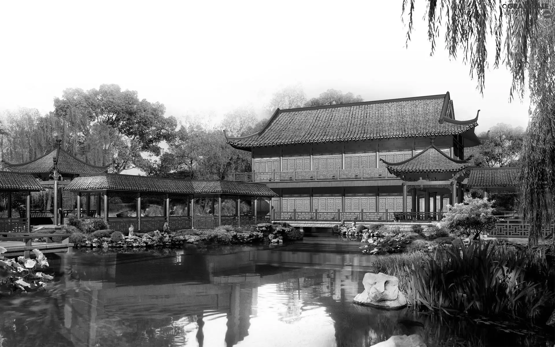 Garden, house, Japan