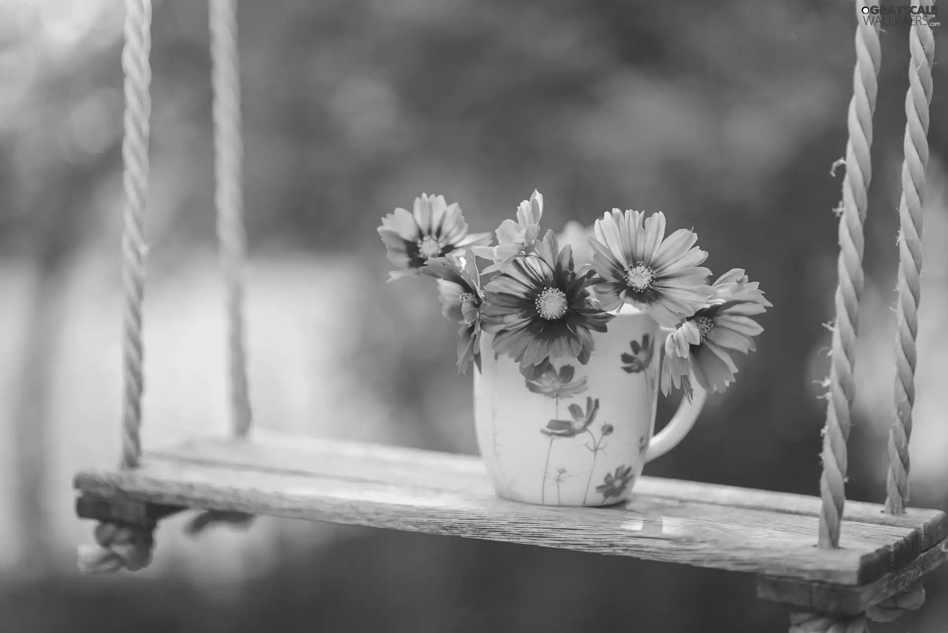 Swing, flowers, Garden, Cup