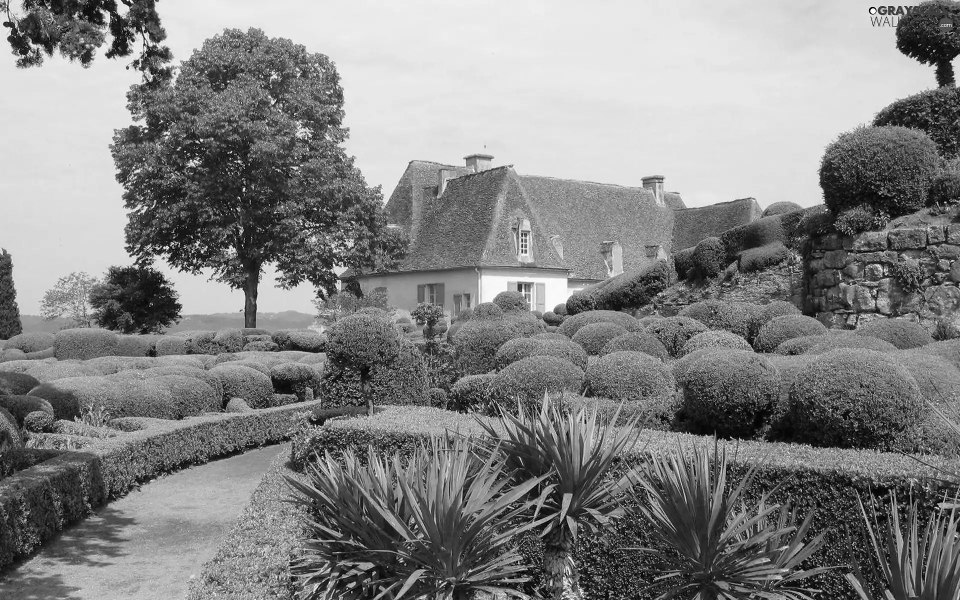 Garden, house, thatch