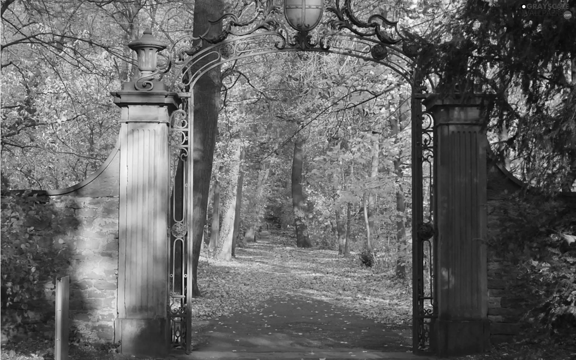 viewes, Park, Gate, autumn, Leaf, trees