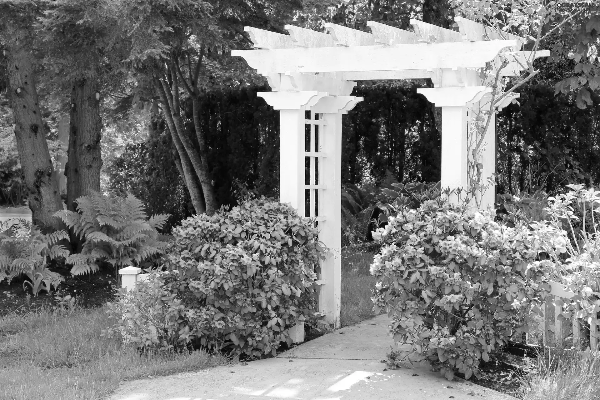 Gate, Garden, Flowers