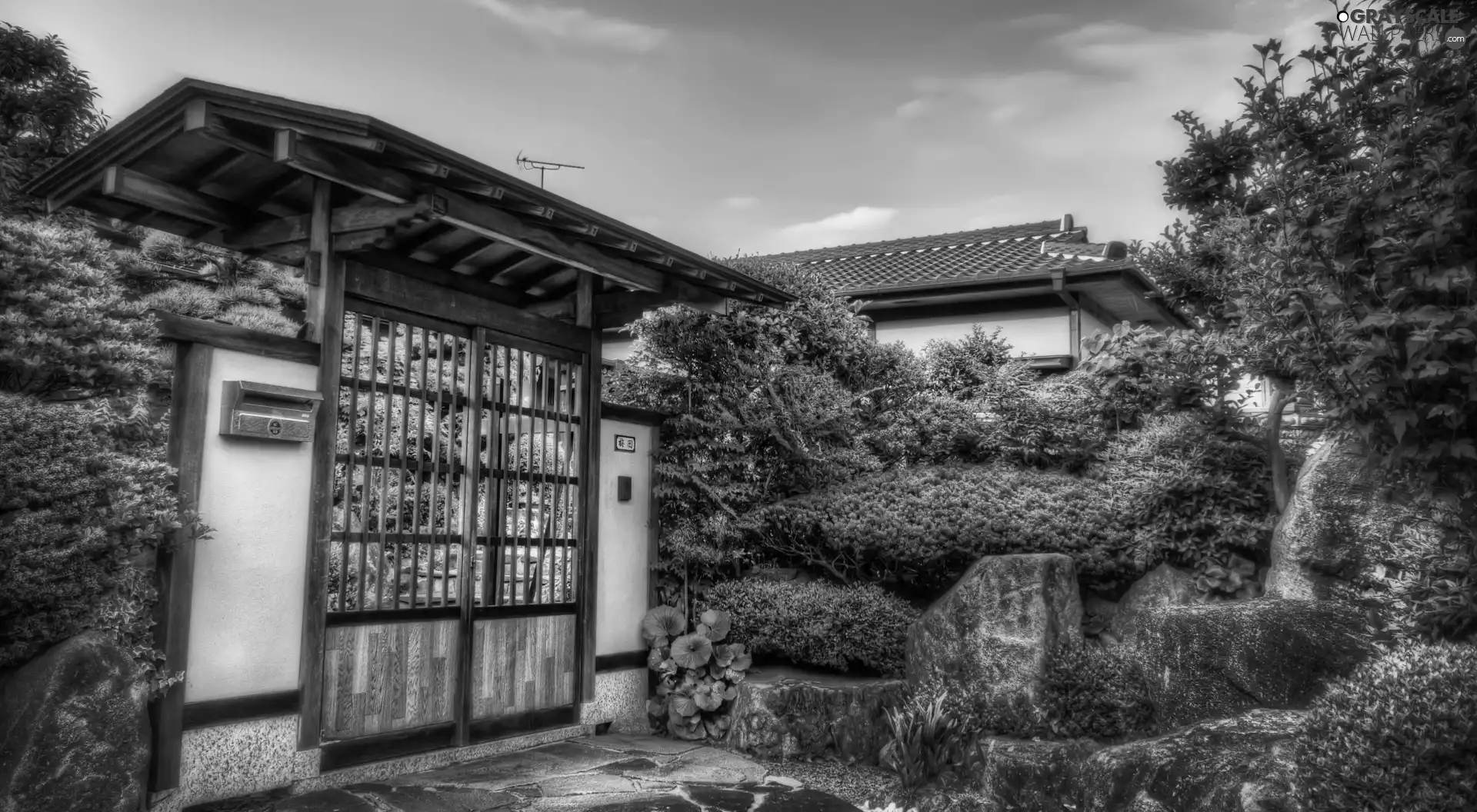 Gate, Garden, japanese