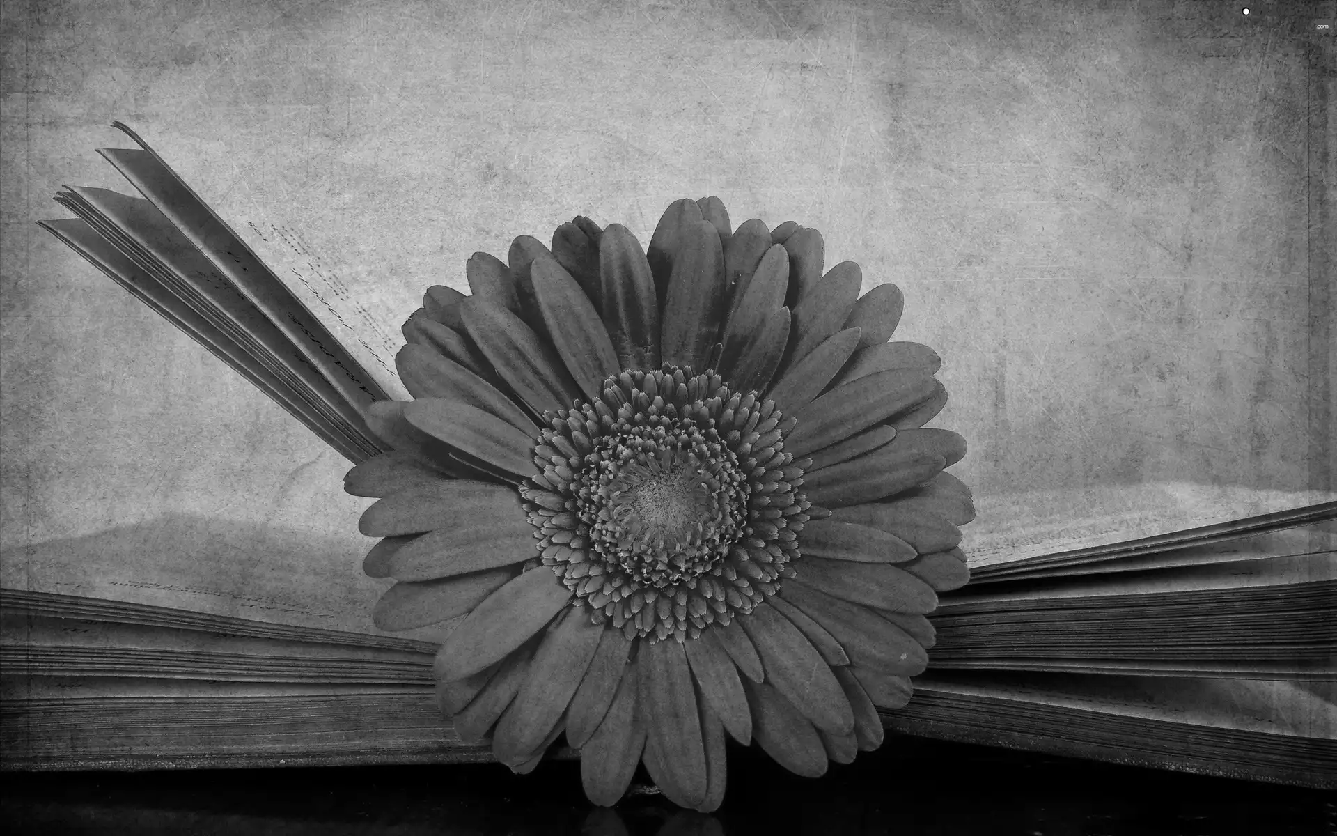 Gerber, Old, Book