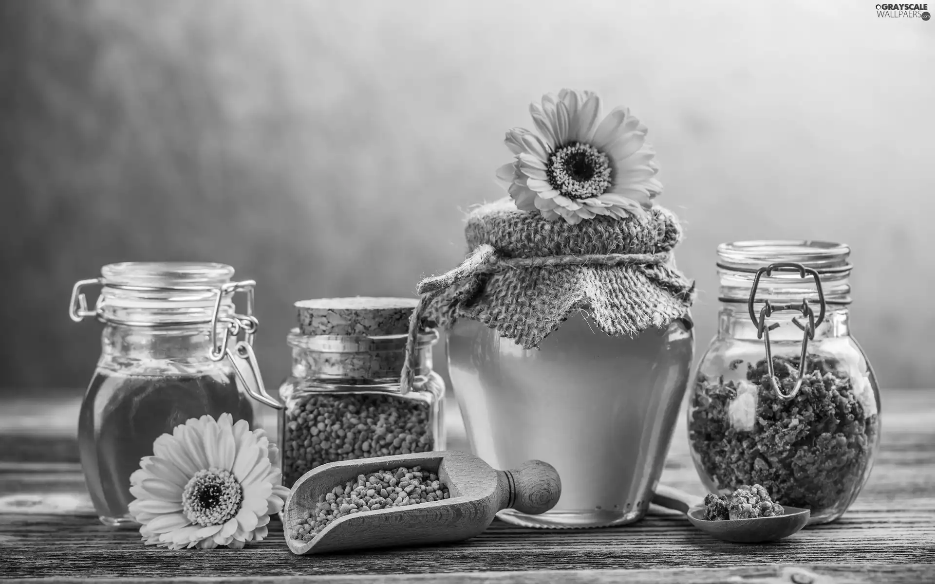 gerberas, honey, Propolis