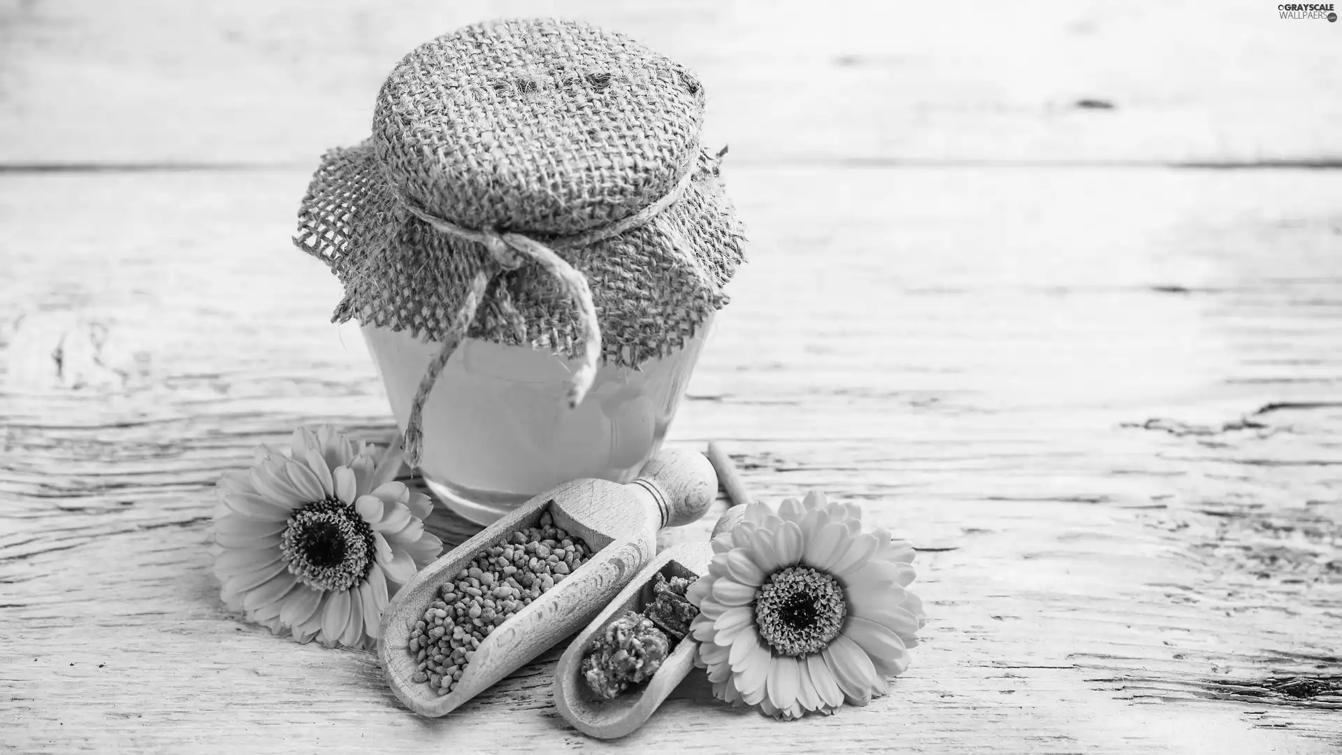 gerberas, honey, Propolis