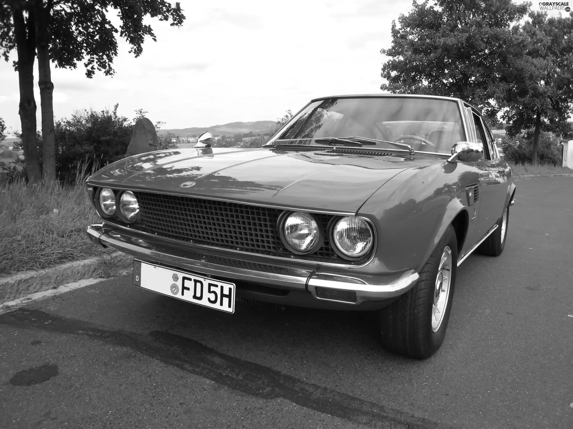 Fiat Dino, Mirrors, Germany, Chrome