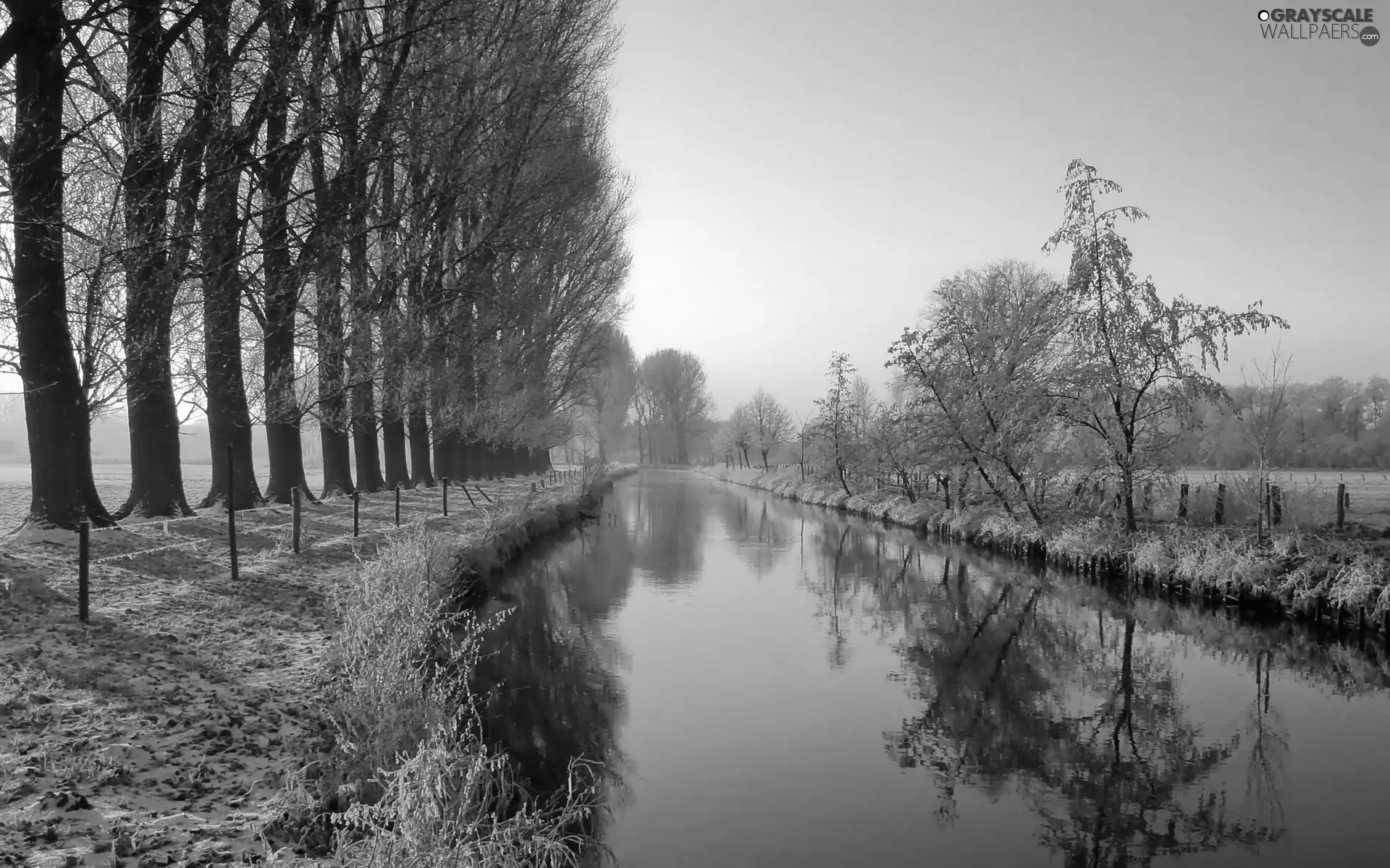 Germany, River, Niers