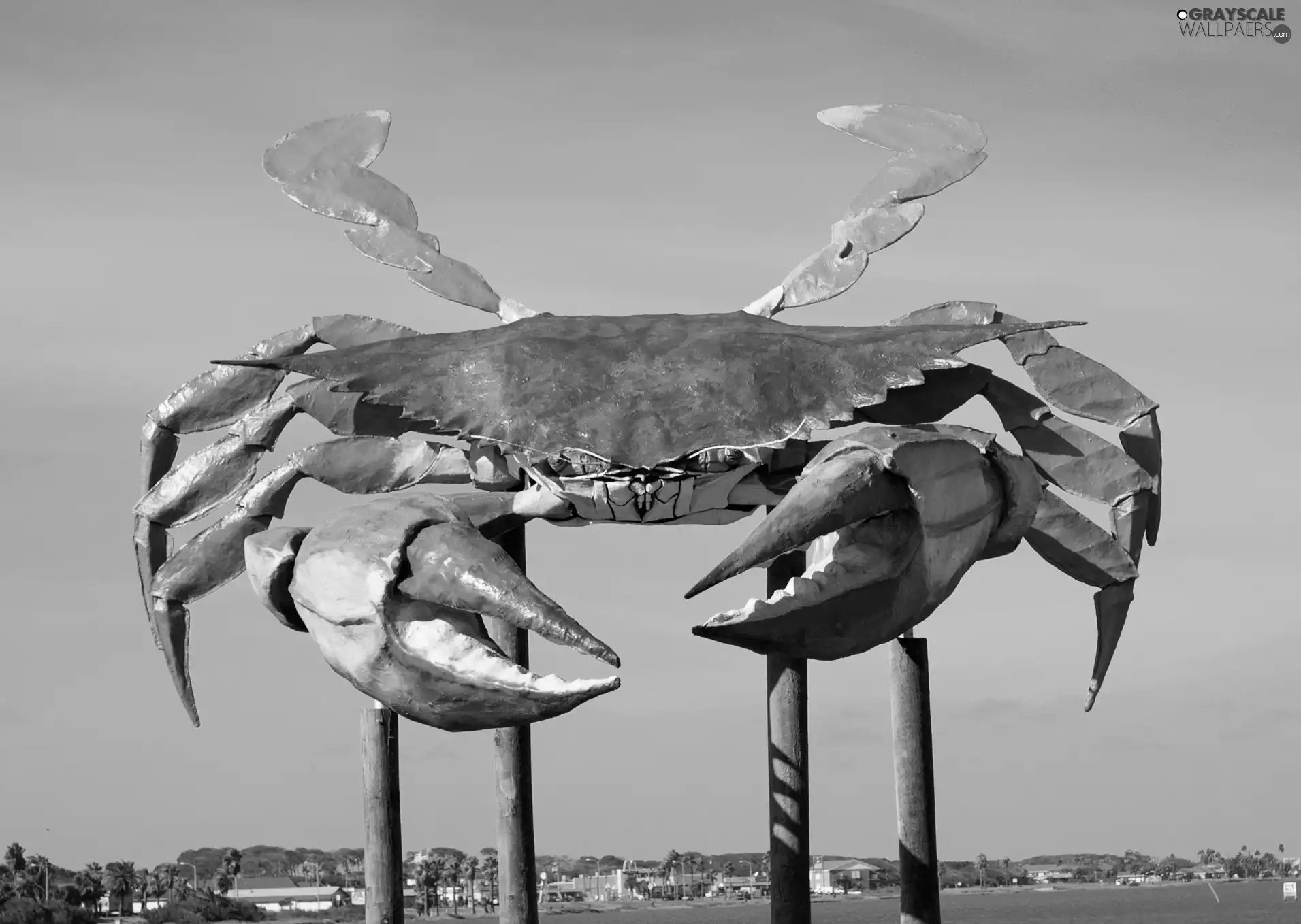 giant, sculpture, crab