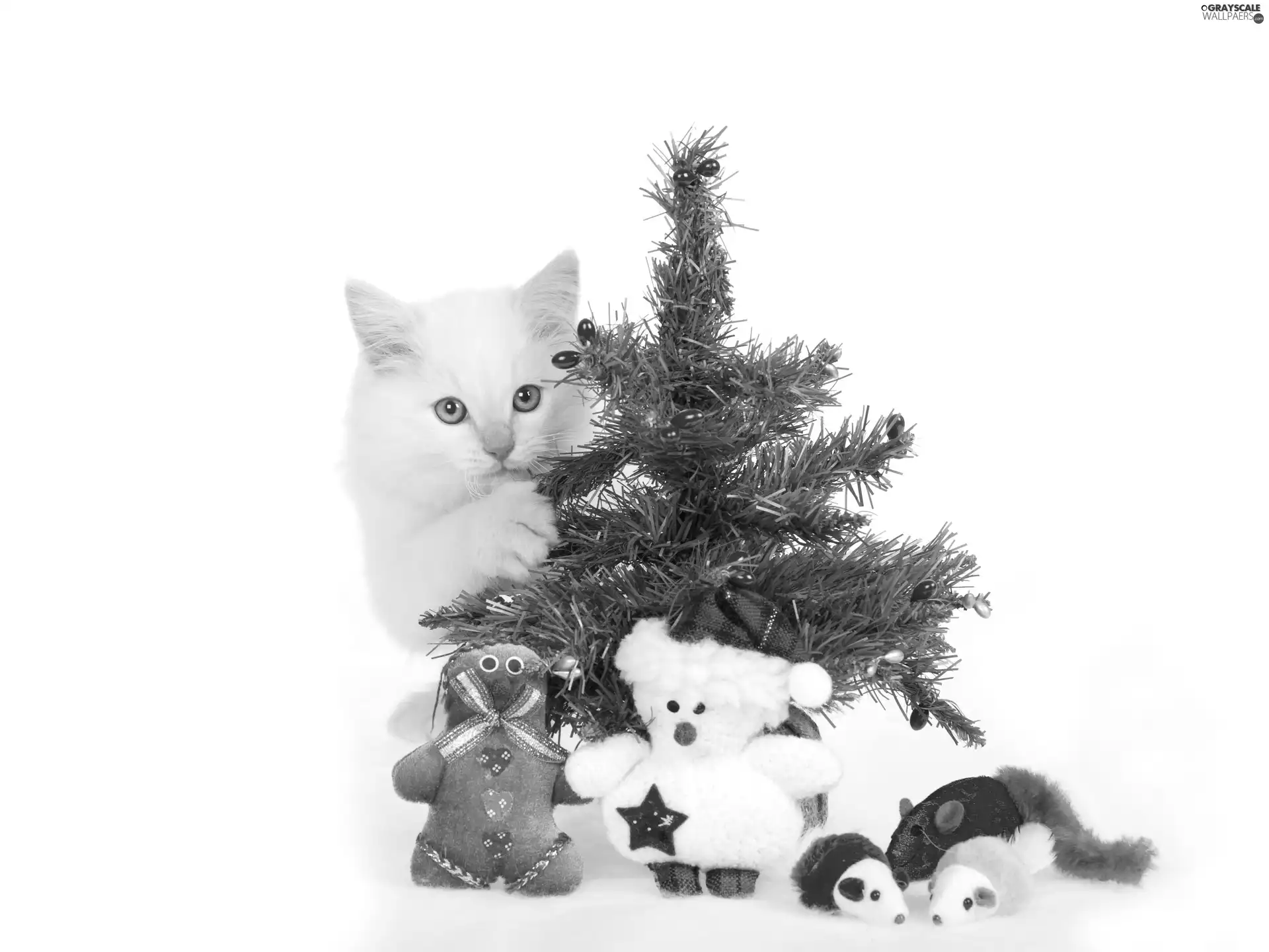 kitten, christmas, gifts, christmas tree
