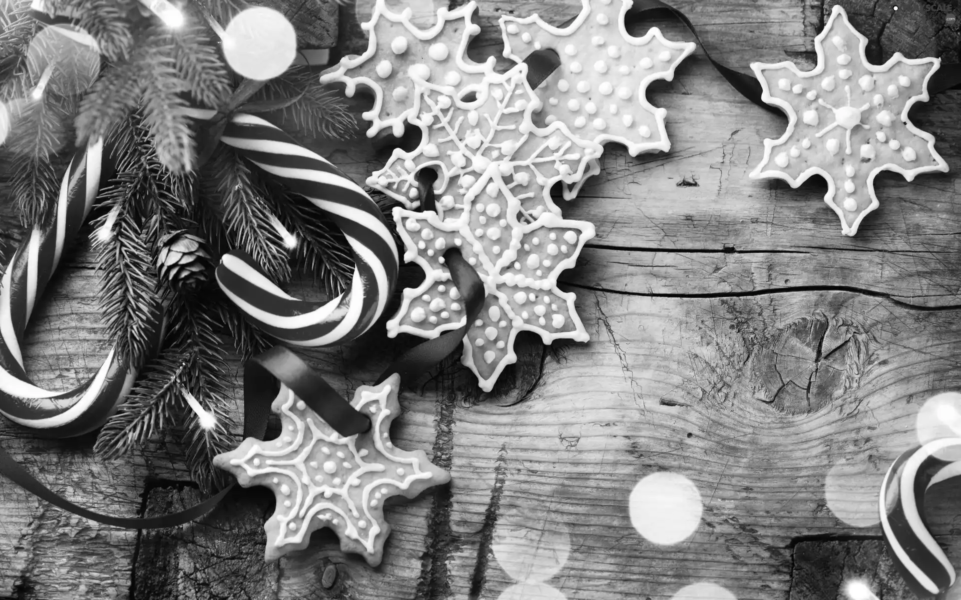 lollipops, Cookies, Twigs, ginger, Christmas, spruce, cones