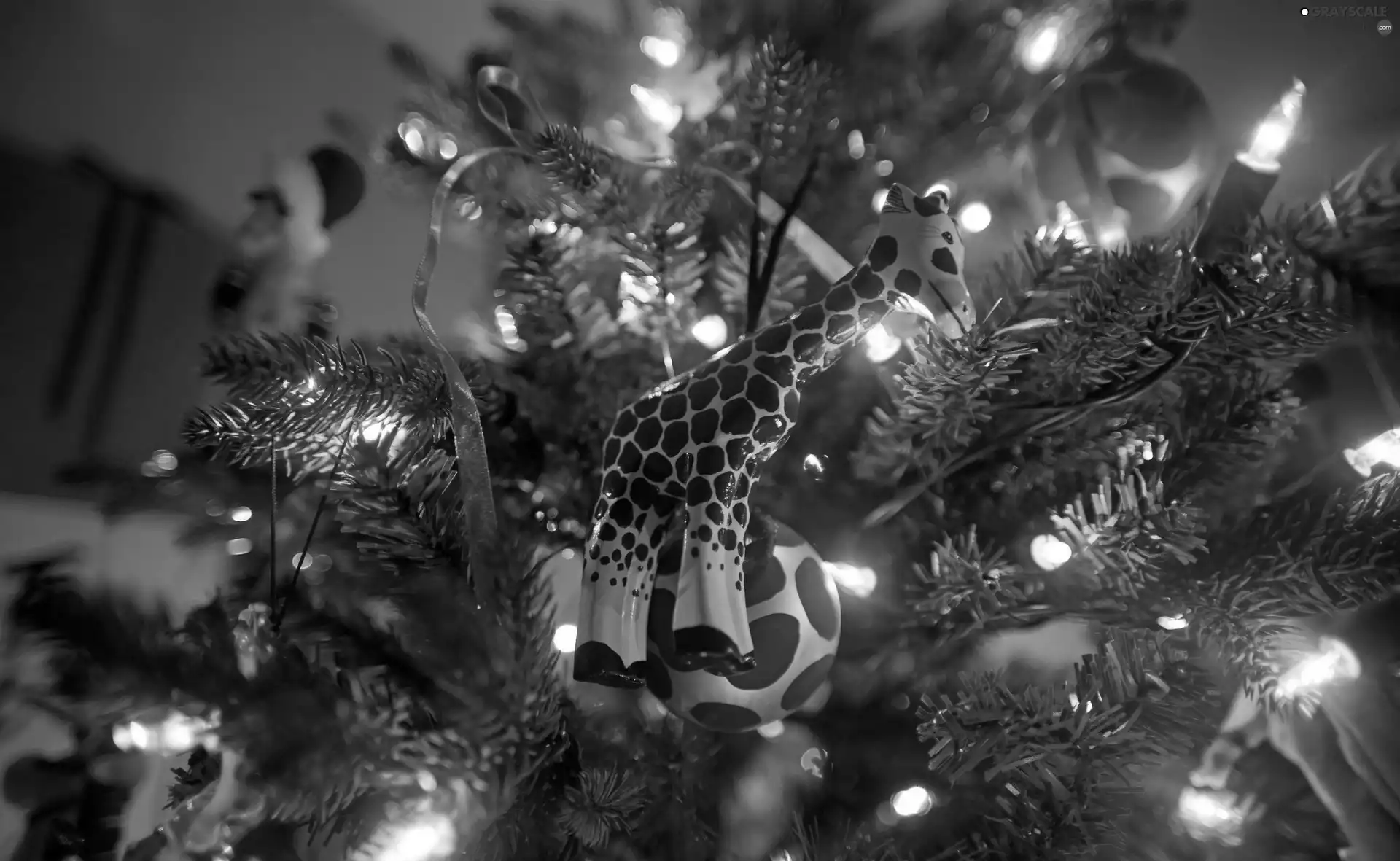 christmas tree, lights, giraffe, ornamentation