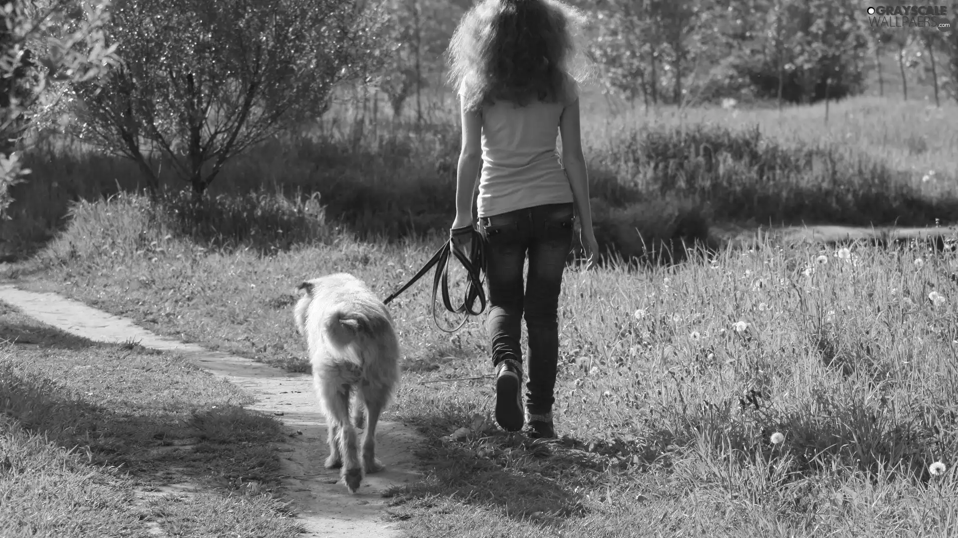 trees, Path, girl, dog, viewes, grass