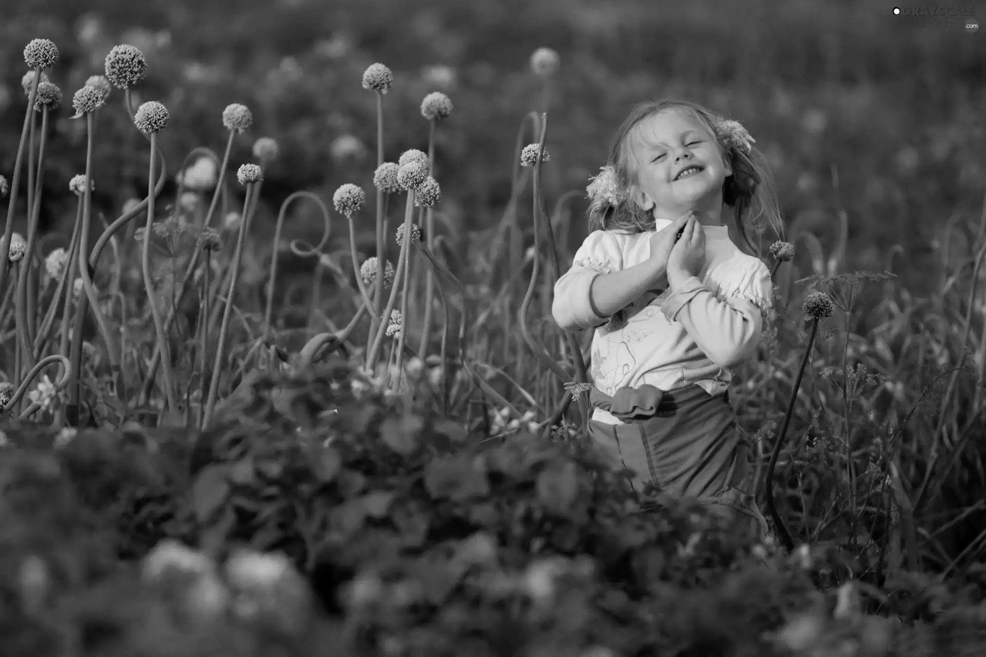 girl, Meadow, happy