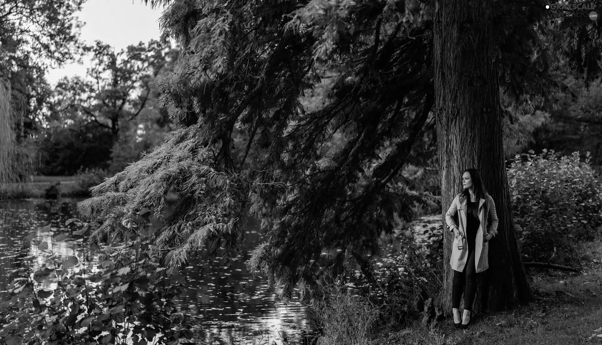 trees, autumn, River, girl, viewes, Park