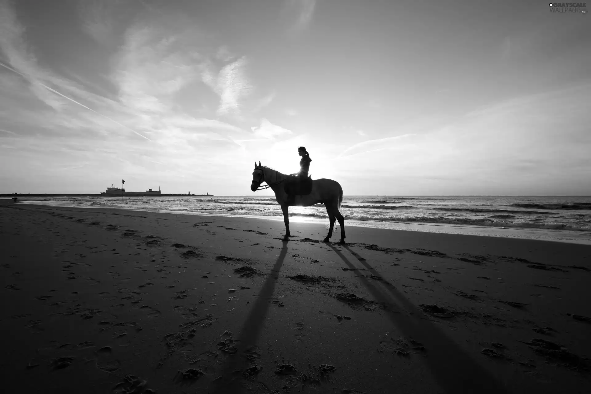 sea, Horse, girl, Beaches