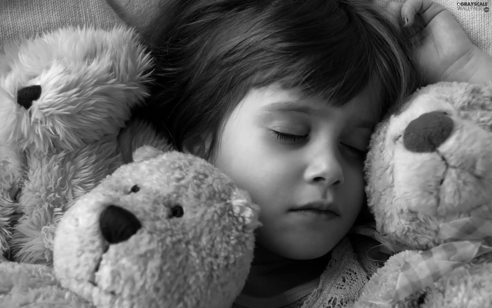 bear, the sleeping, girl