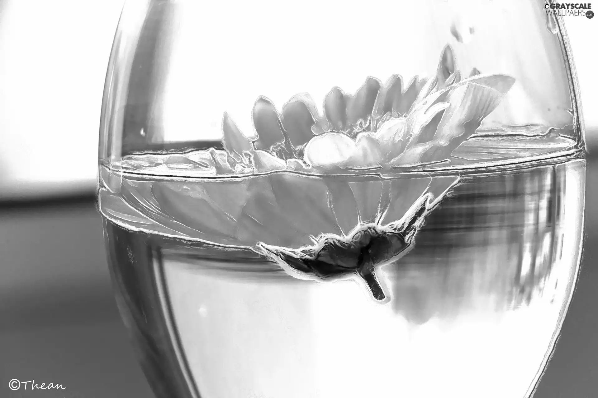 Glass, Fractalius, Colourfull Flowers, ##, White