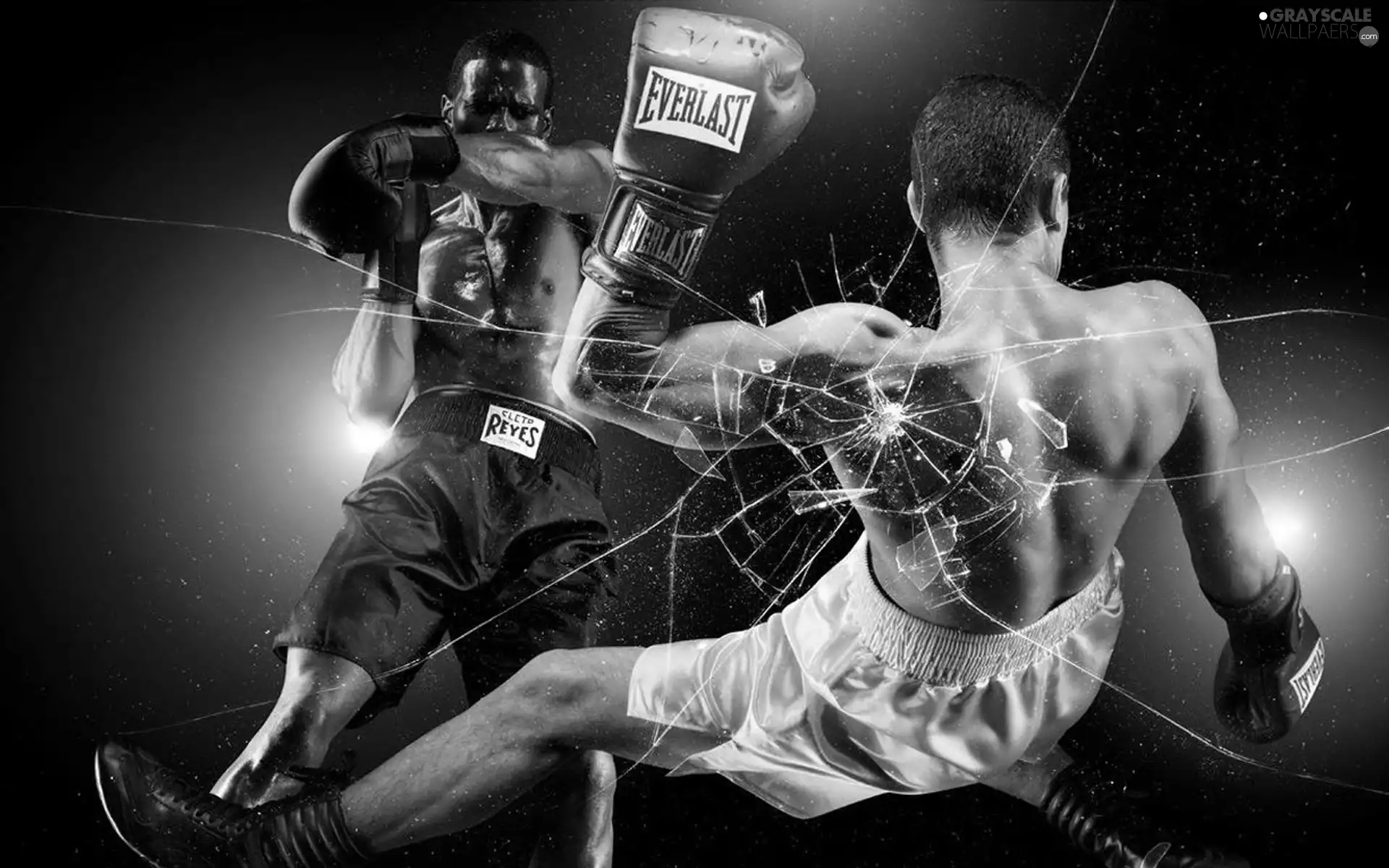 Everlast, broken, Glass, boxing