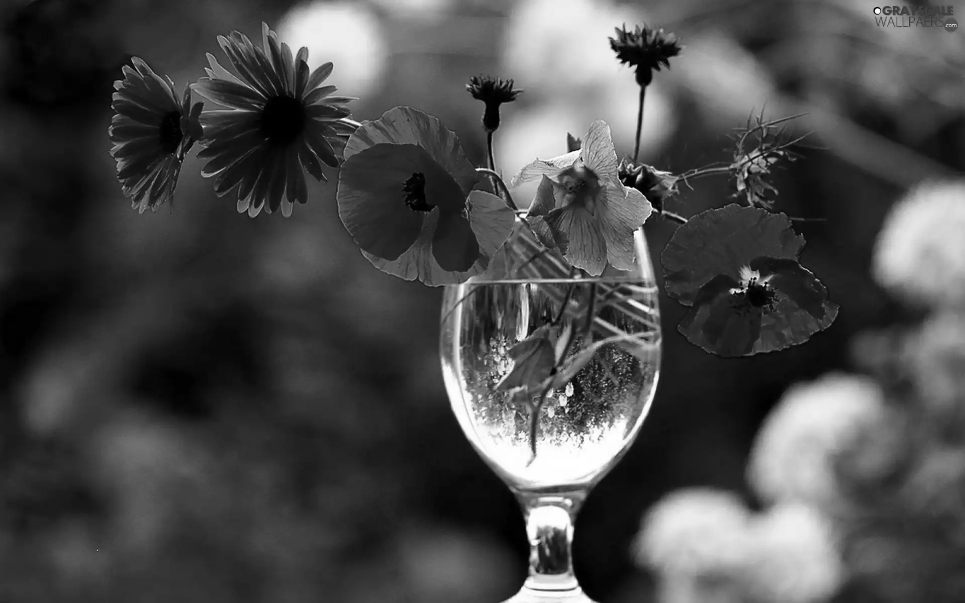 glass, bouquet, flowers