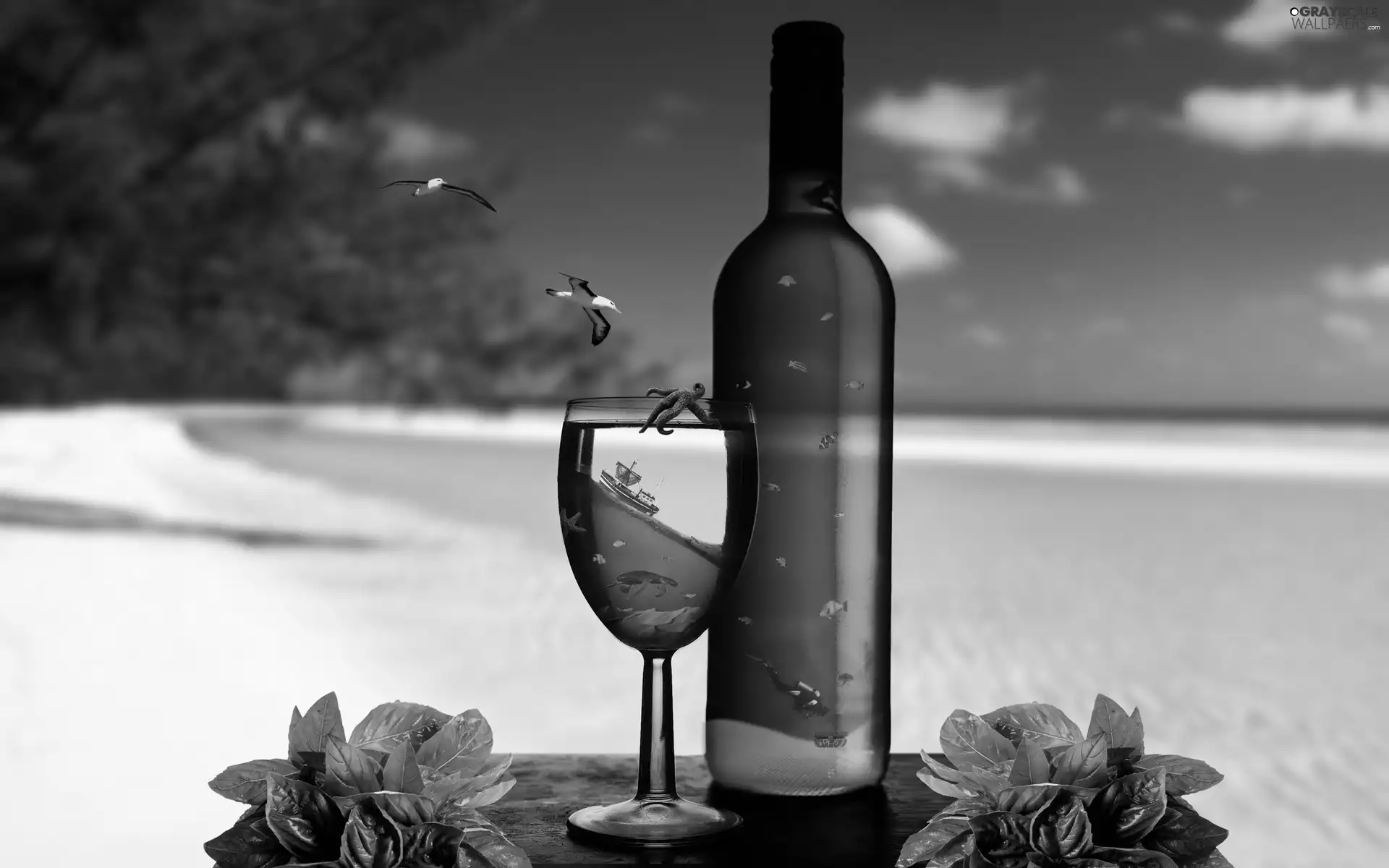 sea, Bottle, glass, life