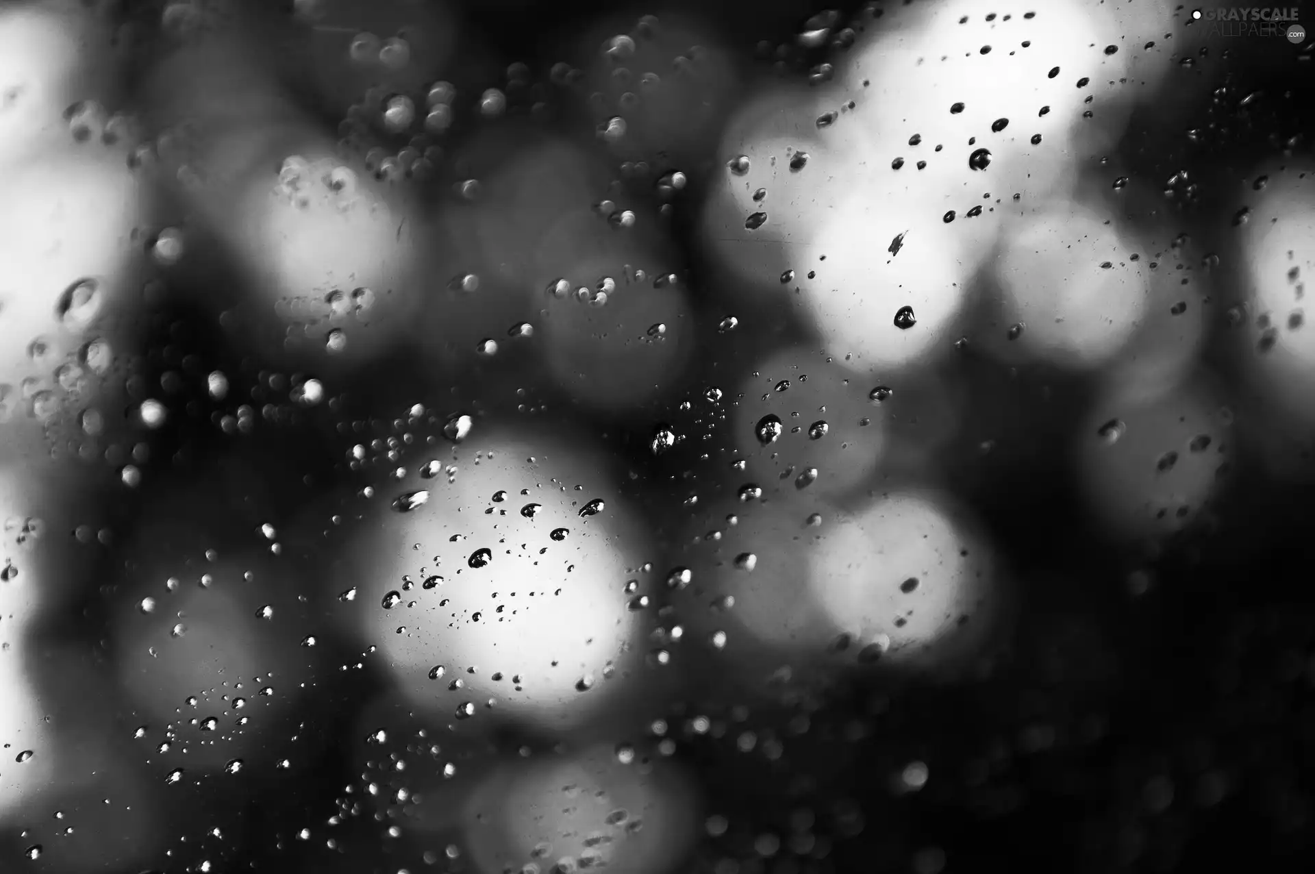 Glass, drops, water