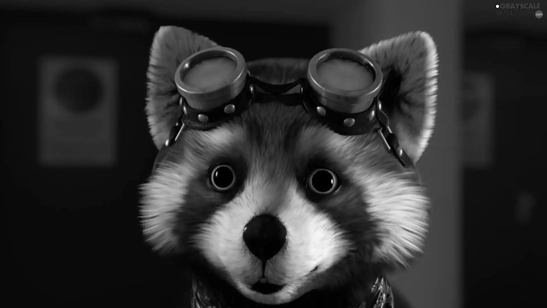 beastie, Glasses
