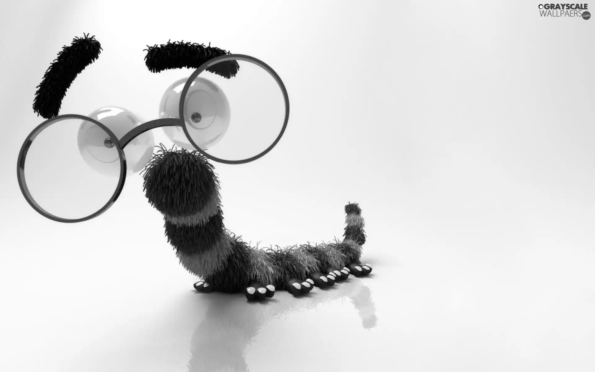 millepede, Glasses