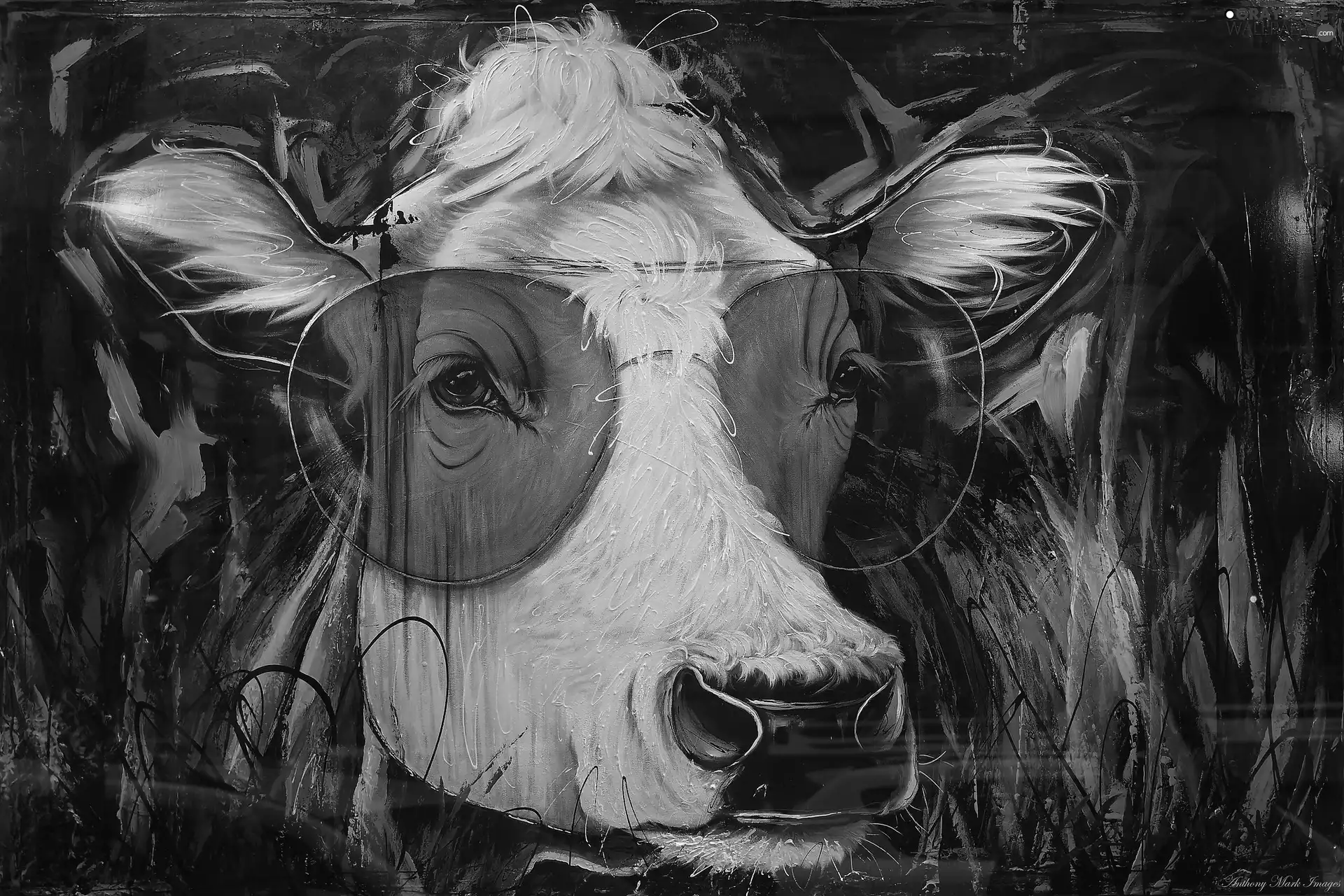 paint, painting, Cow, Glasses, Head, picture