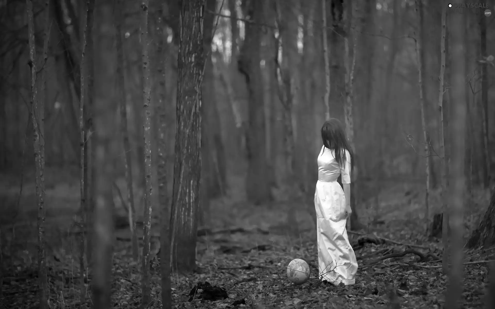 globe, forest, Women